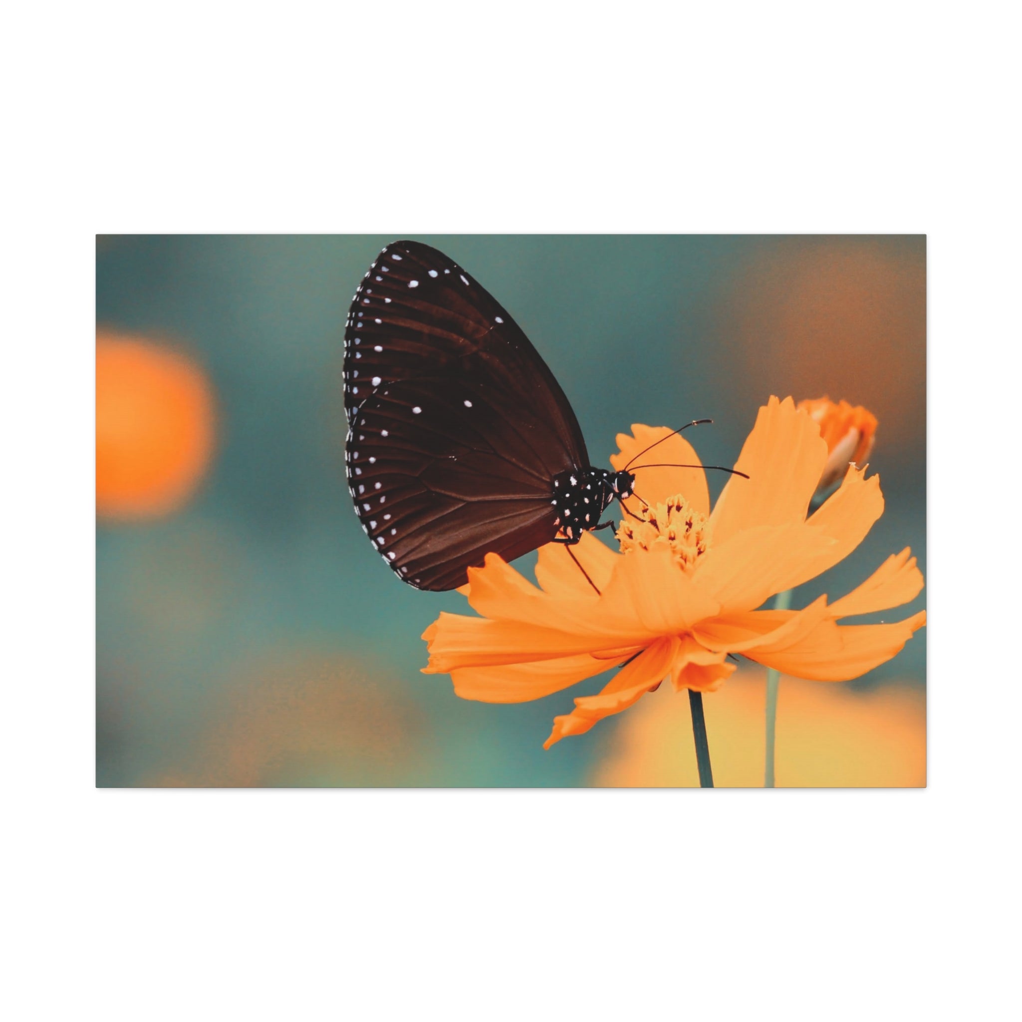 canvas-print-aesthetic-butterfly-monarch-butterfly-living-room-decor-housewarming-gift-wall-art-nature-wall-art-butterfly-dec