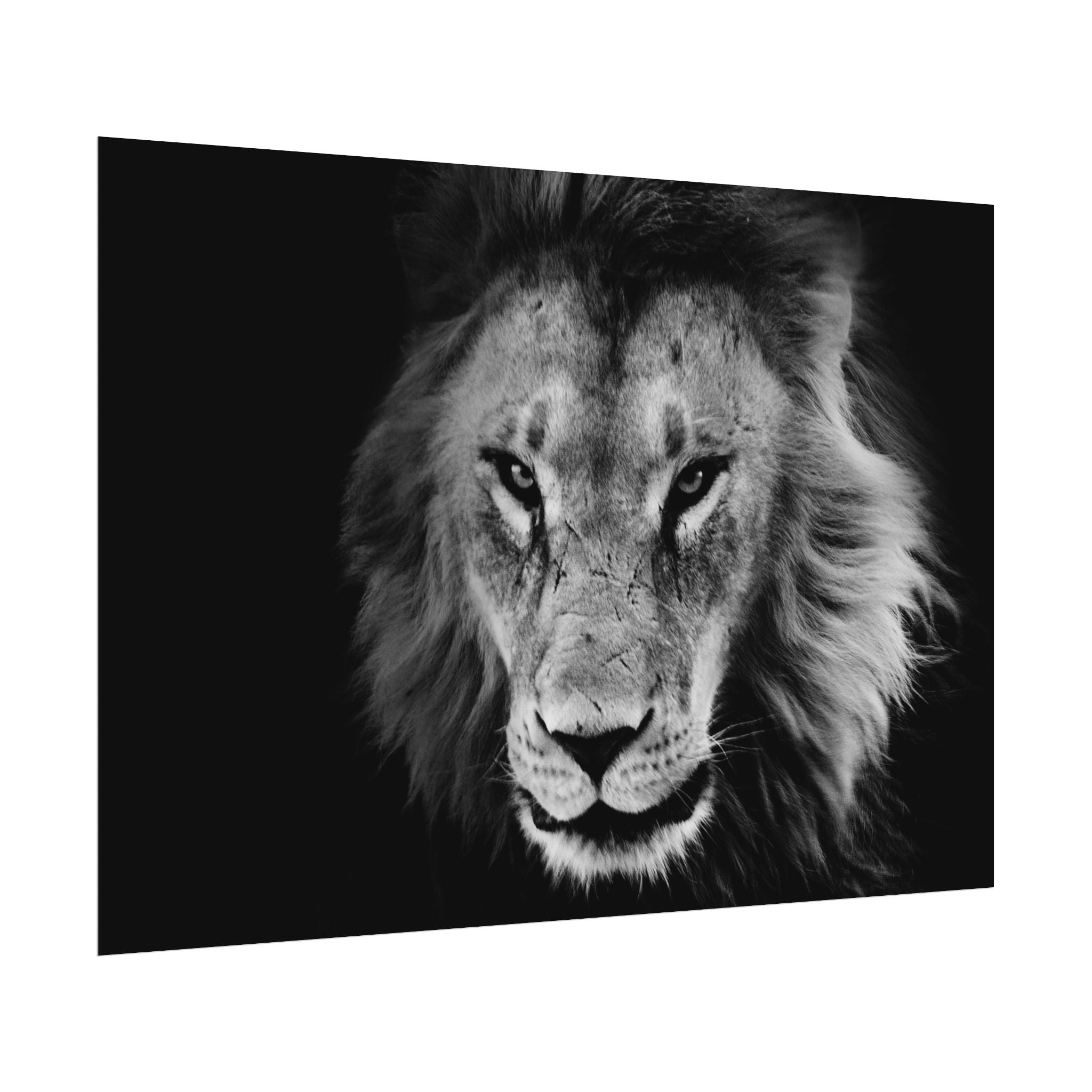poster-print-lion-wall-art-black-and-white-living-room-decor-monochrome-art-lion-poster-jungle-animal-art-print-wildlife-safa