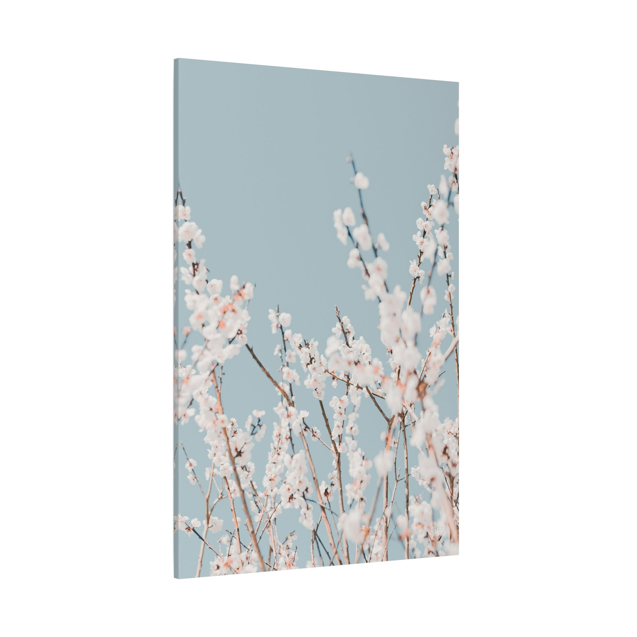 canvas-print-blossom-flowers-minimalist-aesthetic-wall-art-matte-stretched-1-25in-home-decor-floral-decor-elegant-artwork