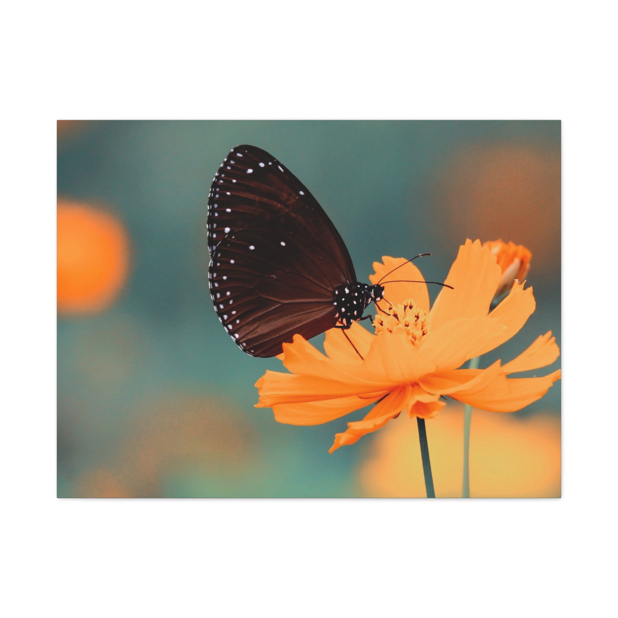canvas-print-aesthetic-butterfly-monarch-butterfly-living-room-decor-housewarming-gift-wall-art-nature-wall-art-butterfly-dec