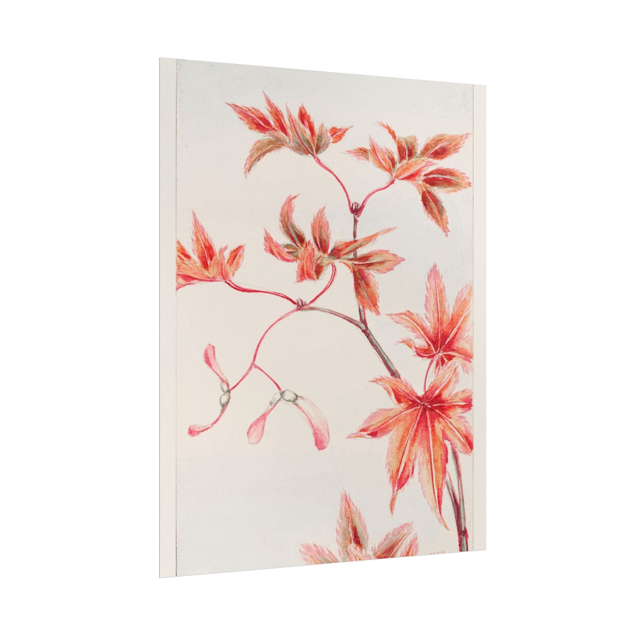 poster-print-branch-of-momiji-maple-tree-with-leaves-floral-wall-art-rolled-posters-wall-decor-room-decoration-nature-art-bot