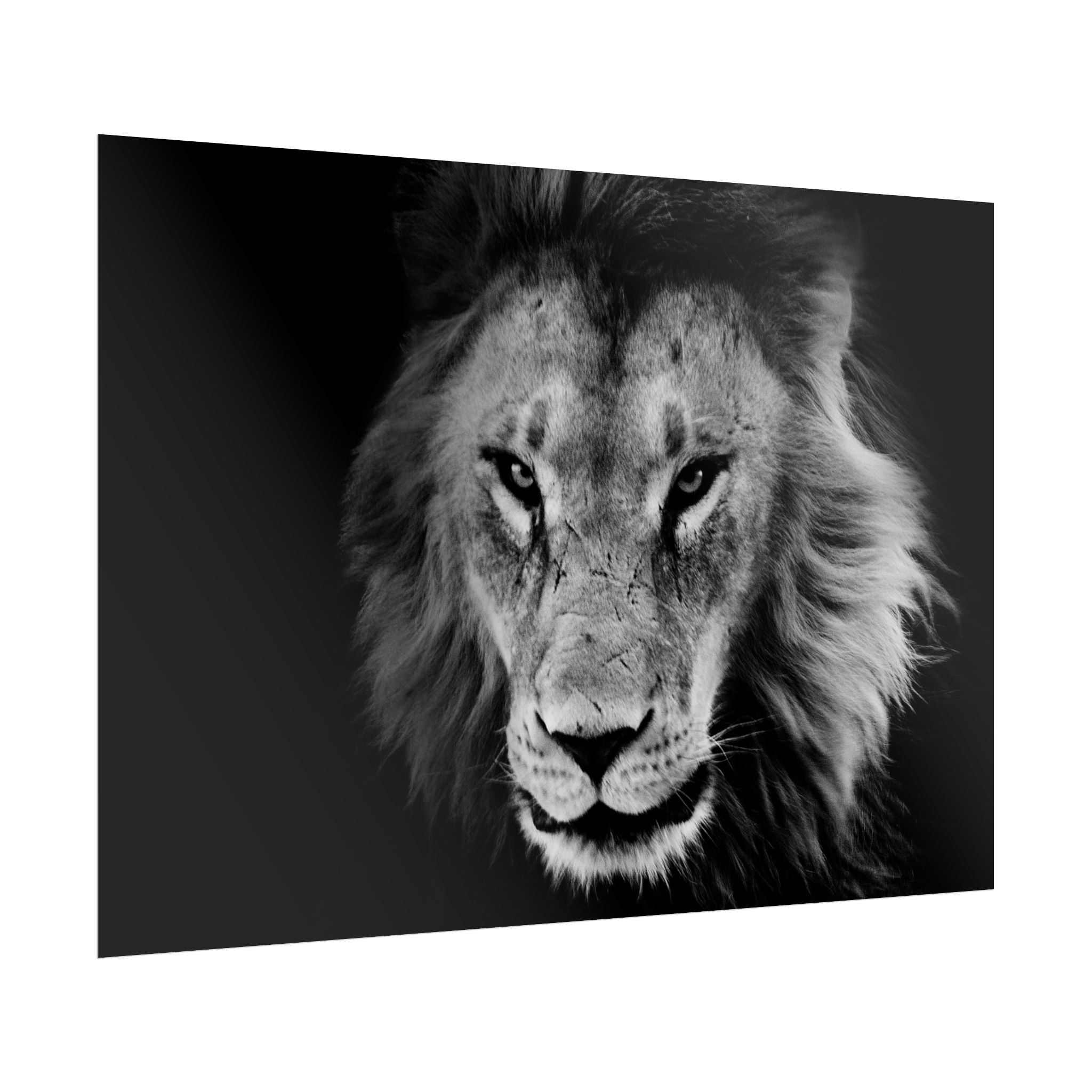 poster-print-lion-wall-art-black-and-white-living-room-decor-monochrome-art-lion-poster-jungle-animal-art-print-wildlife-safa