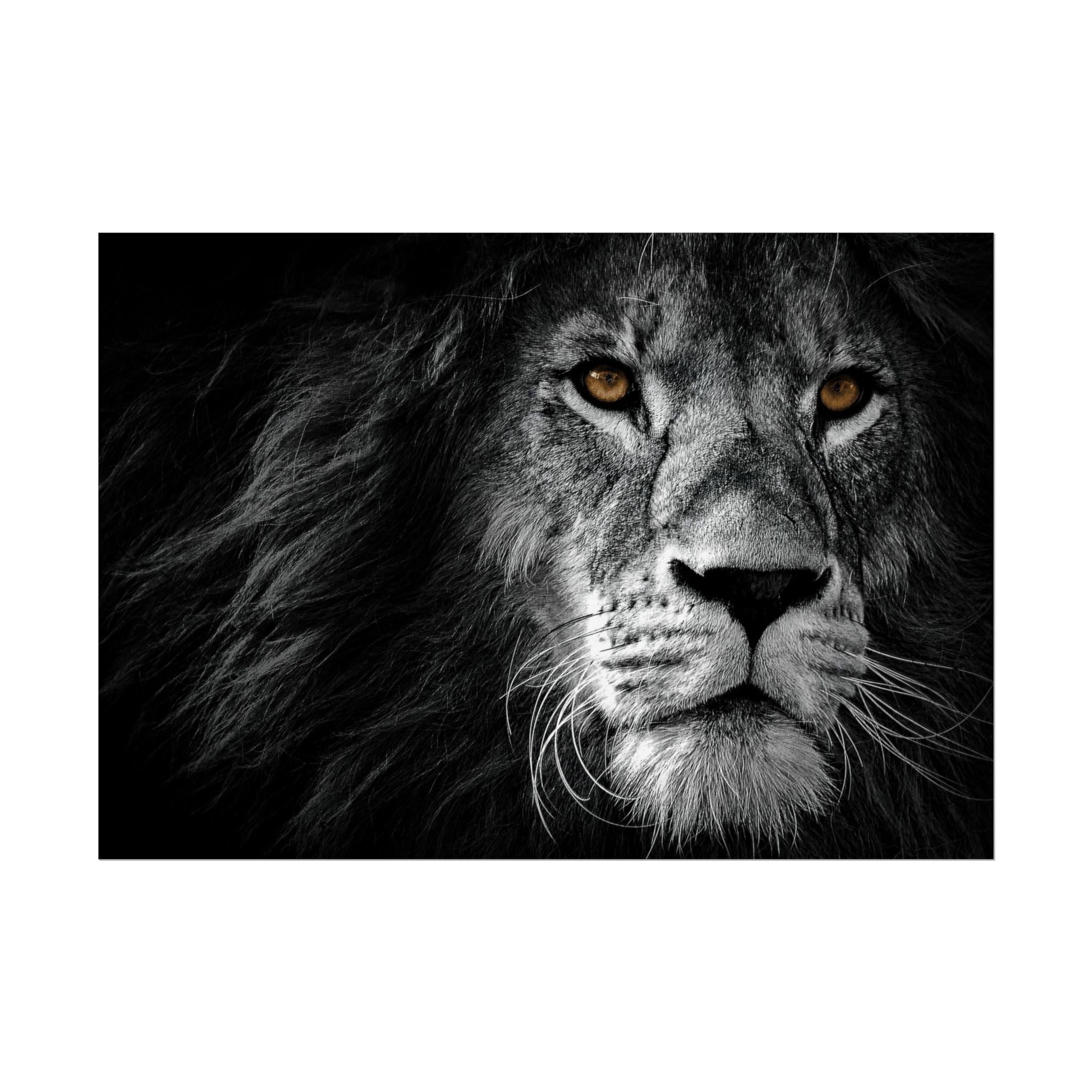 poster-print-lion-wall-art-black-and-white-monochrome-decor-living-room-decor-lion-poster-jungle-animal-art-print-wildlife-sa