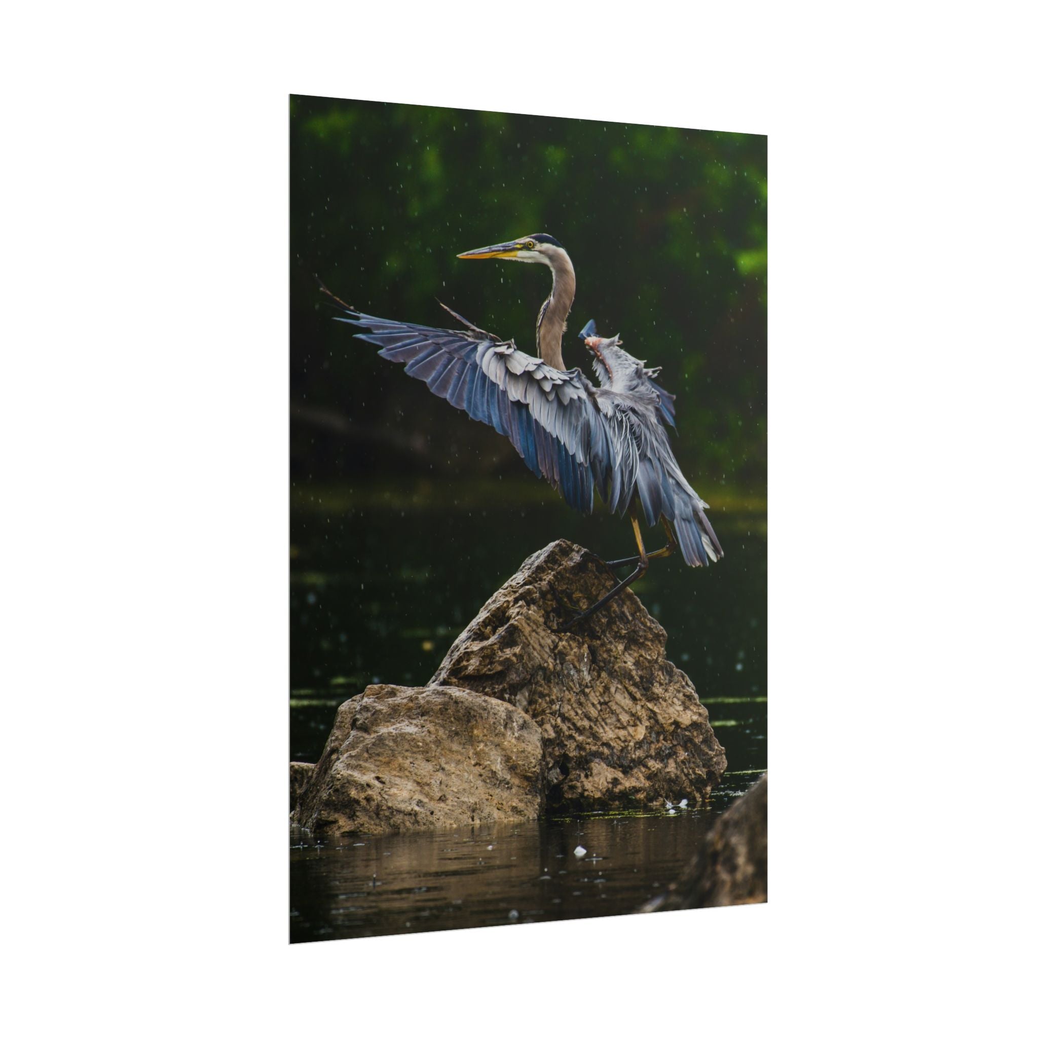great-blue-heron-poster-wall-art-home-decor-bird-lover-gift-nature-wall-hanging-wildlife-poster
