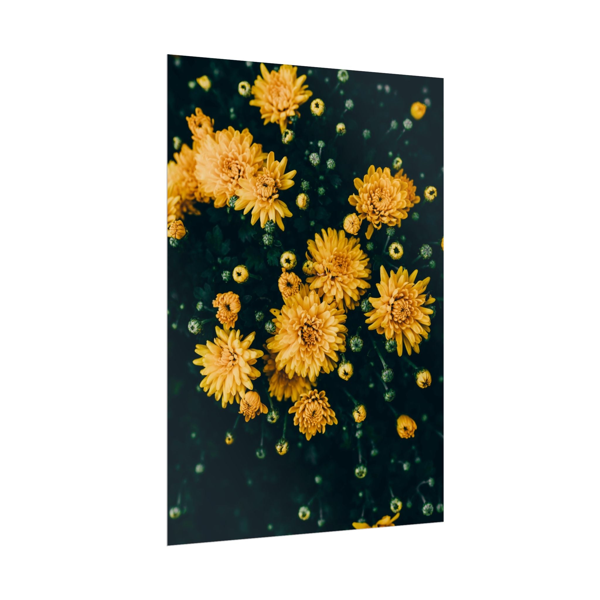 yellow-flower-art-poster-print-floral-wall-decor-floral-home-decor-gift-dark-botanical-art-print