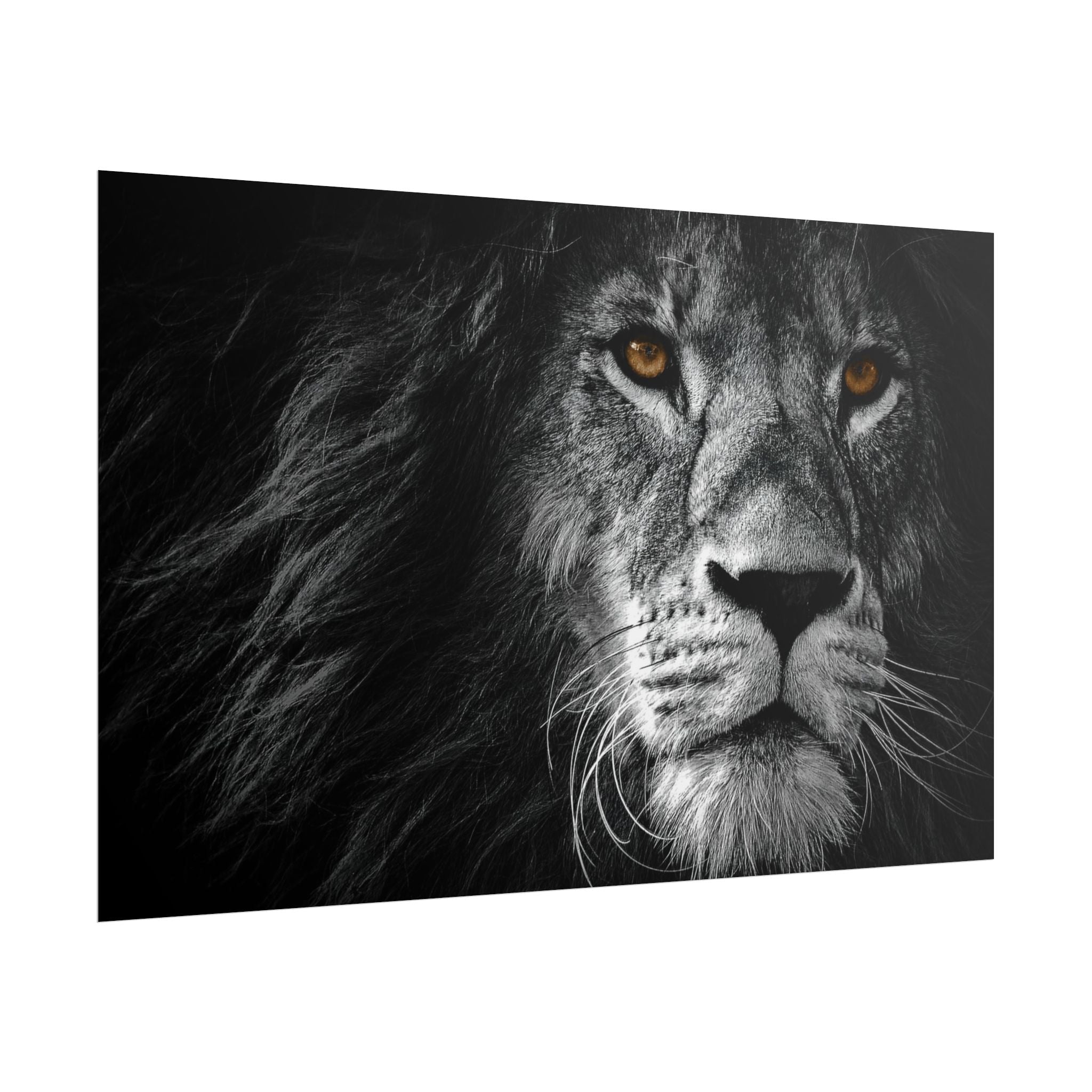 poster-print-lion-wall-art-black-and-white-monochrome-decor-living-room-decor-lion-poster-jungle-animal-art-print-wildlife-sa