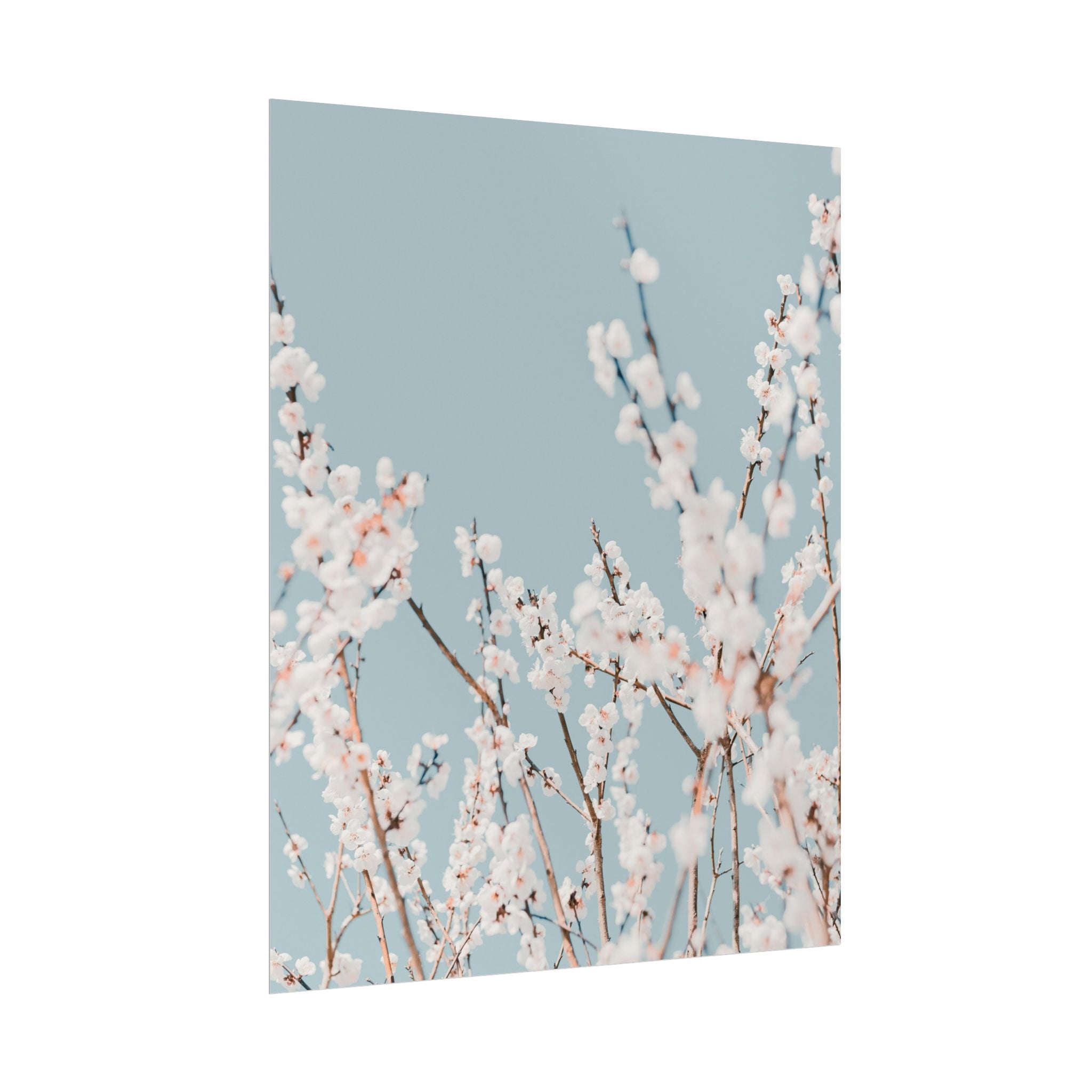 blossom-flowers-poster-print-minimalist-aesthetic-wall-art-fine-art-paper-home-decor-floral-decor-elegant-artwork