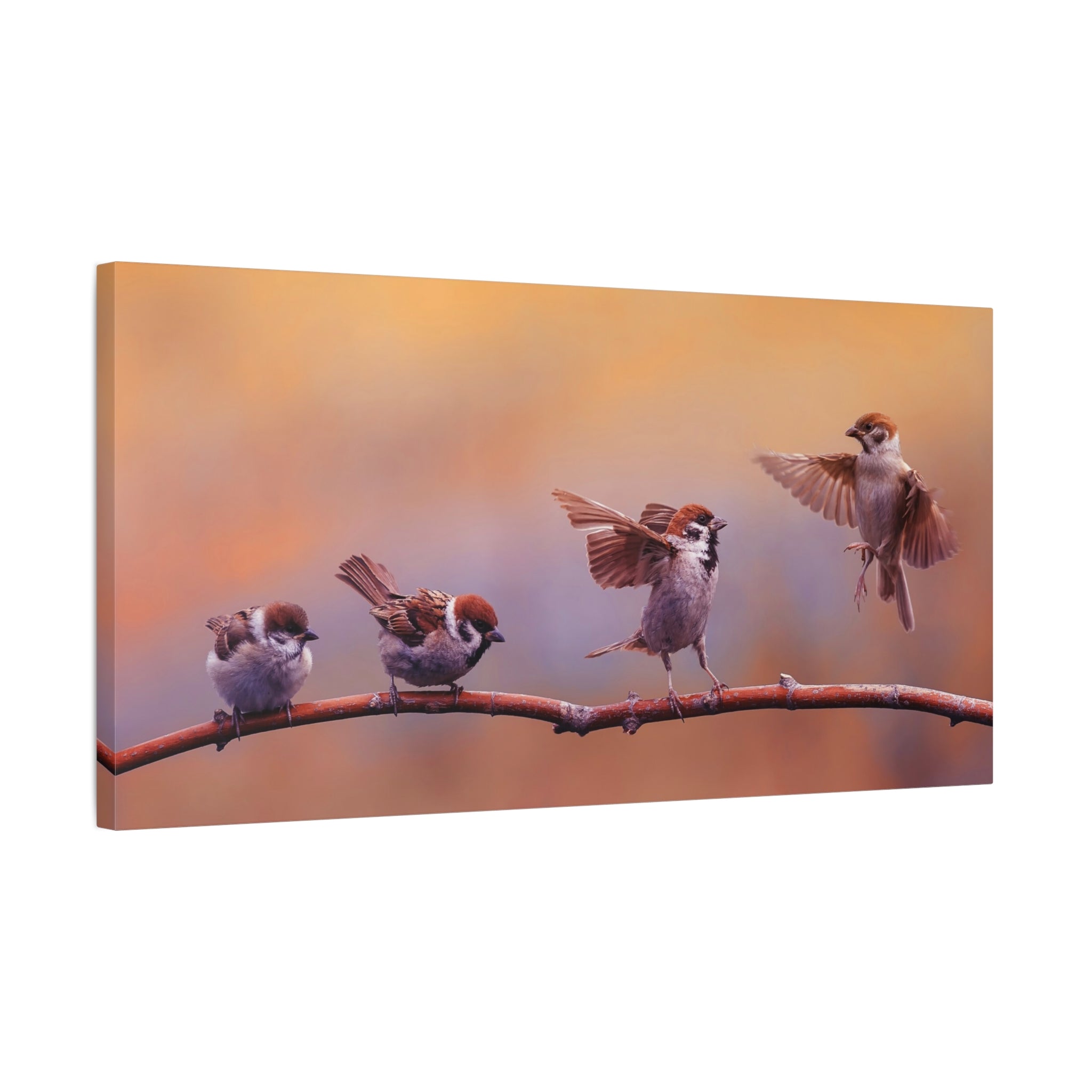 canvas-wall-art-sparrow-bird-lift-off-birds-lover-farmhouse-decor-matte-canvas-print-nature-wall-art-panoramic-animals