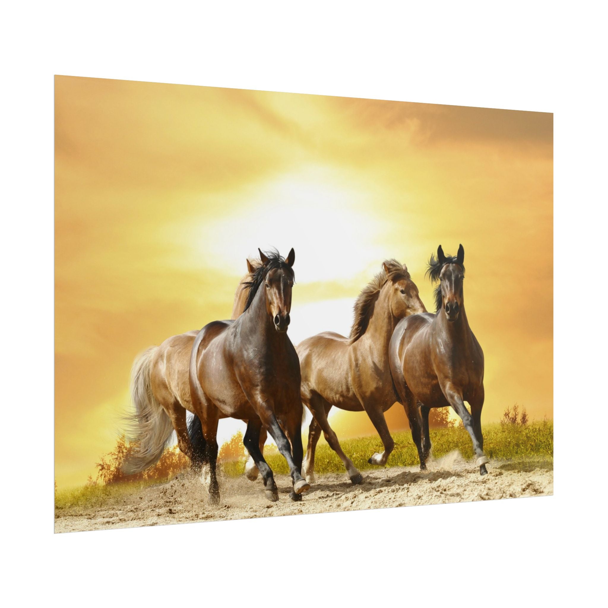 running-horse-poster-wall-art-farmhouse-wall-decor-home-decor-housewarming-gift-horse-print-wall-print-wild-animals