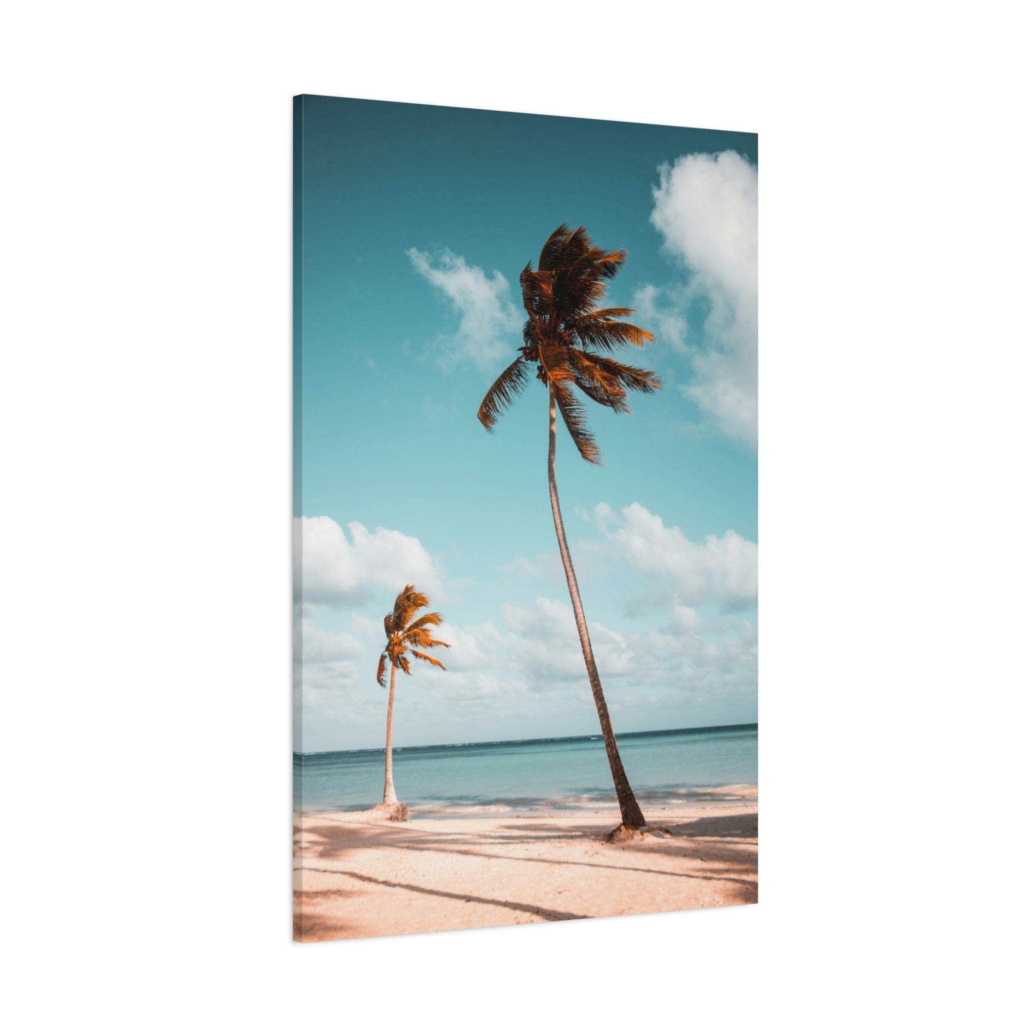 palm-tree-canvas-print-palm-tree-decor-wall-art-print-home-decor-palm-tree-fine-art-palm-tree-art-gallery-stretched-canvas-pr