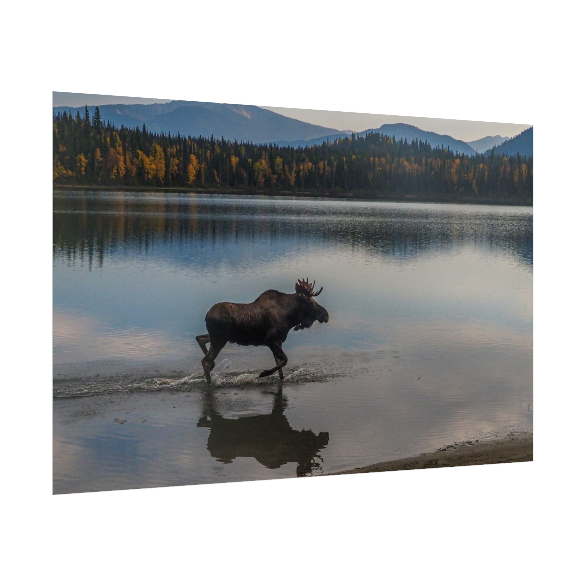 rustic-moose-poster-wall-decor-cabin-lodge-wildlife-painting-nature-home-decor-wilderness-animal-poster-farmhouse-wall-art