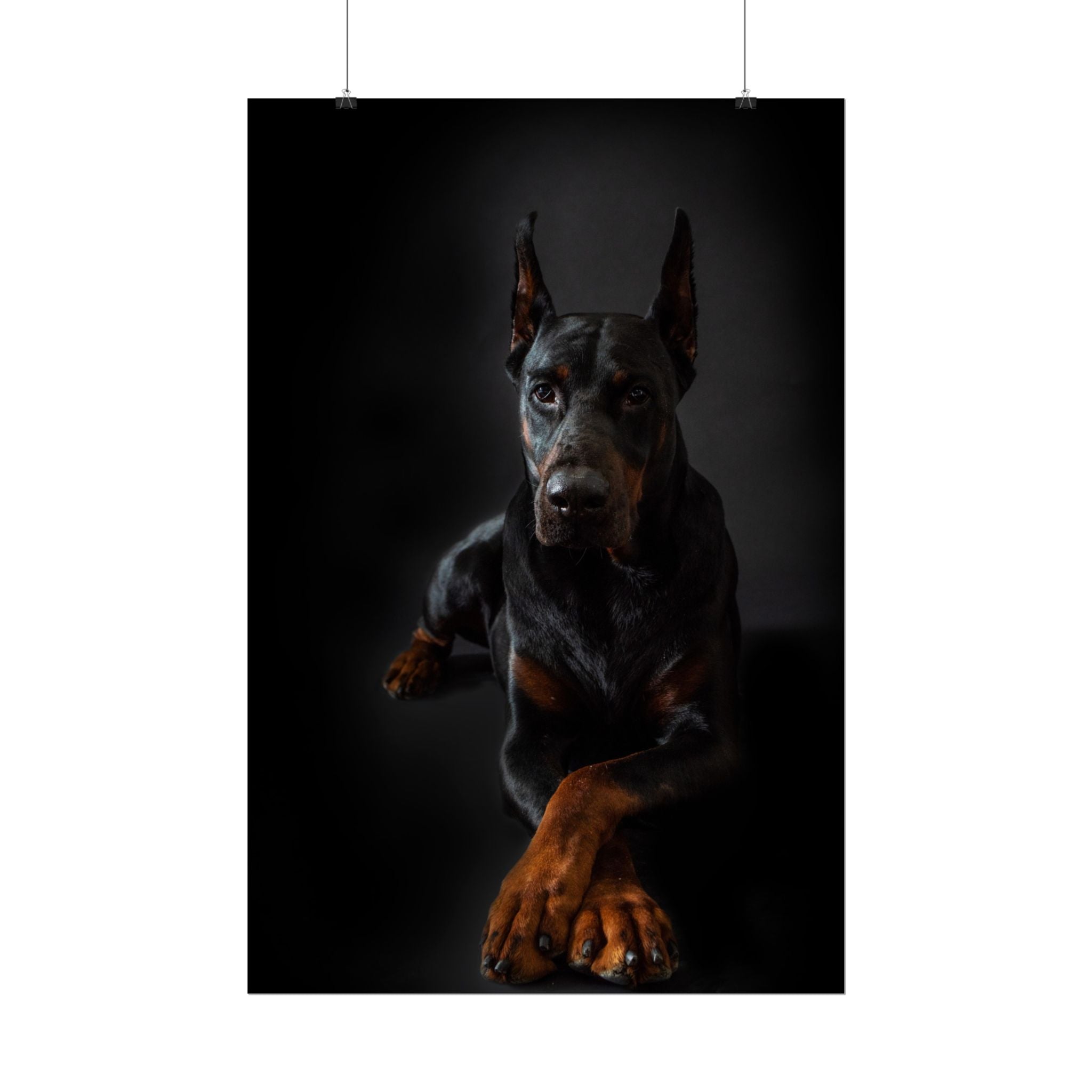 doberman-pincher-poster-print-rolled-posters-wall-art-home-decor-dog-lover-gift-animal-art-room-decoration