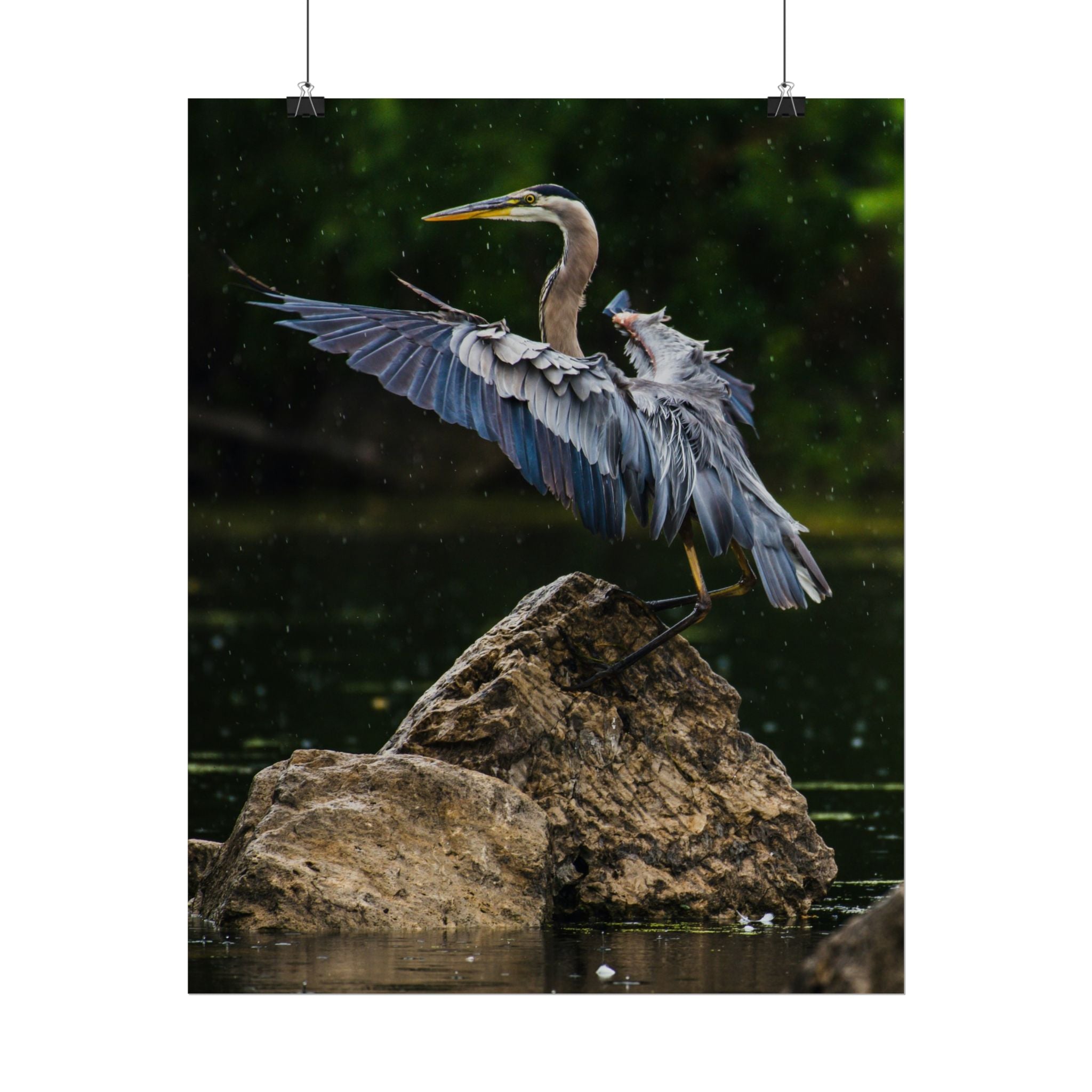 great-blue-heron-poster-wall-art-home-decor-bird-lover-gift-nature-wall-hanging-wildlife-poster