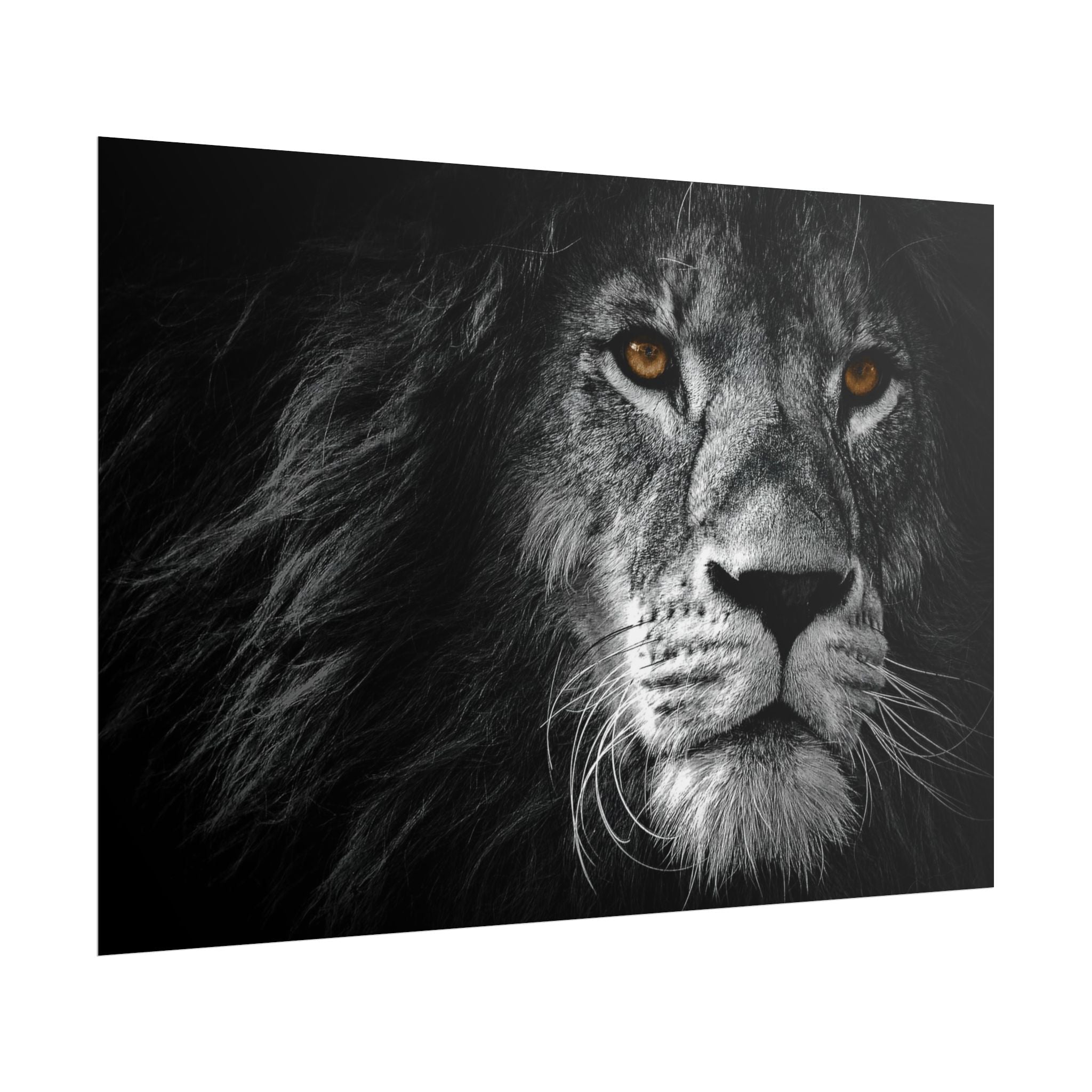 poster-print-lion-wall-art-black-and-white-monochrome-decor-living-room-decor-lion-poster-jungle-animal-art-print-wildlife-sa