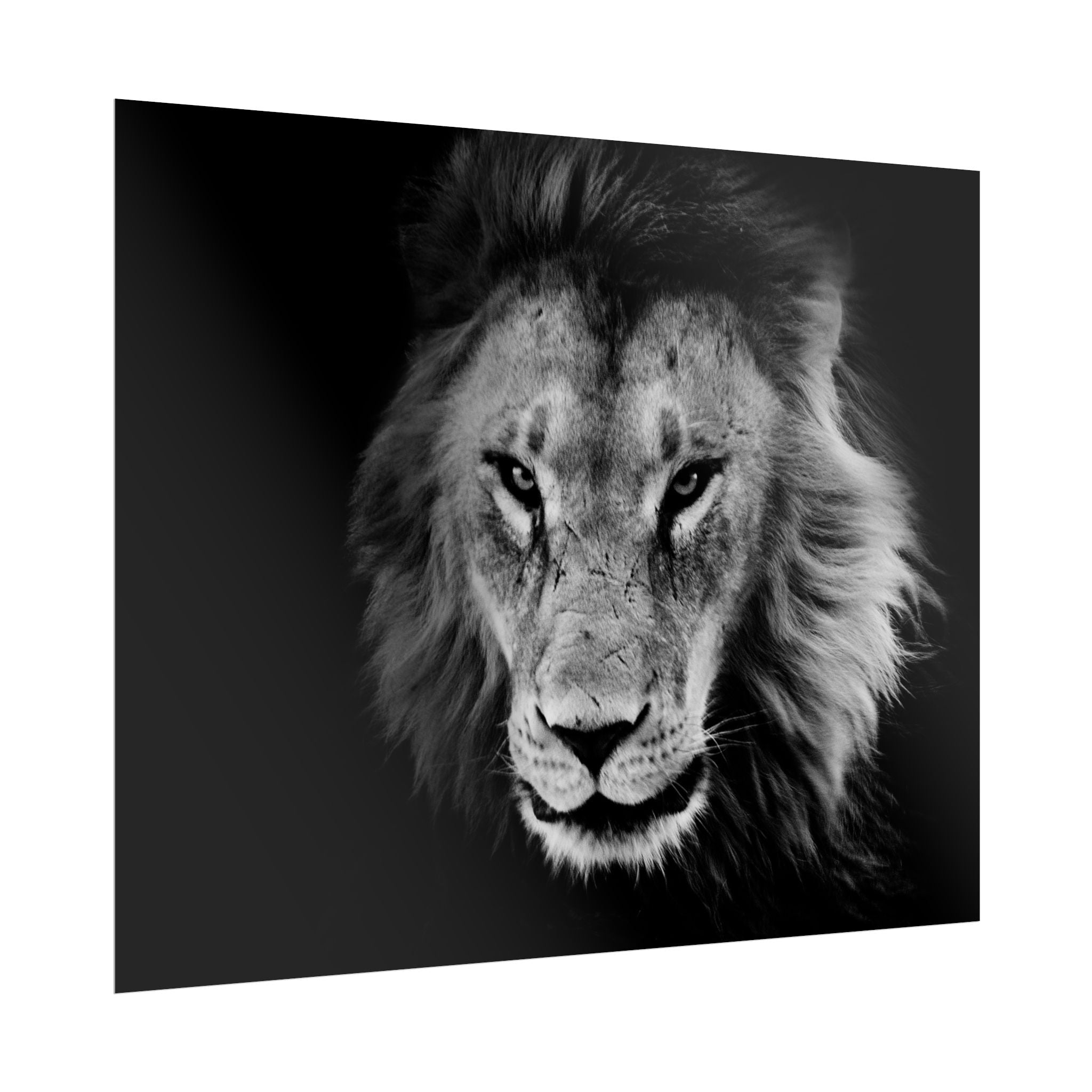 poster-print-lion-wall-art-black-and-white-living-room-decor-monochrome-art-lion-poster-jungle-animal-art-print-wildlife-safa