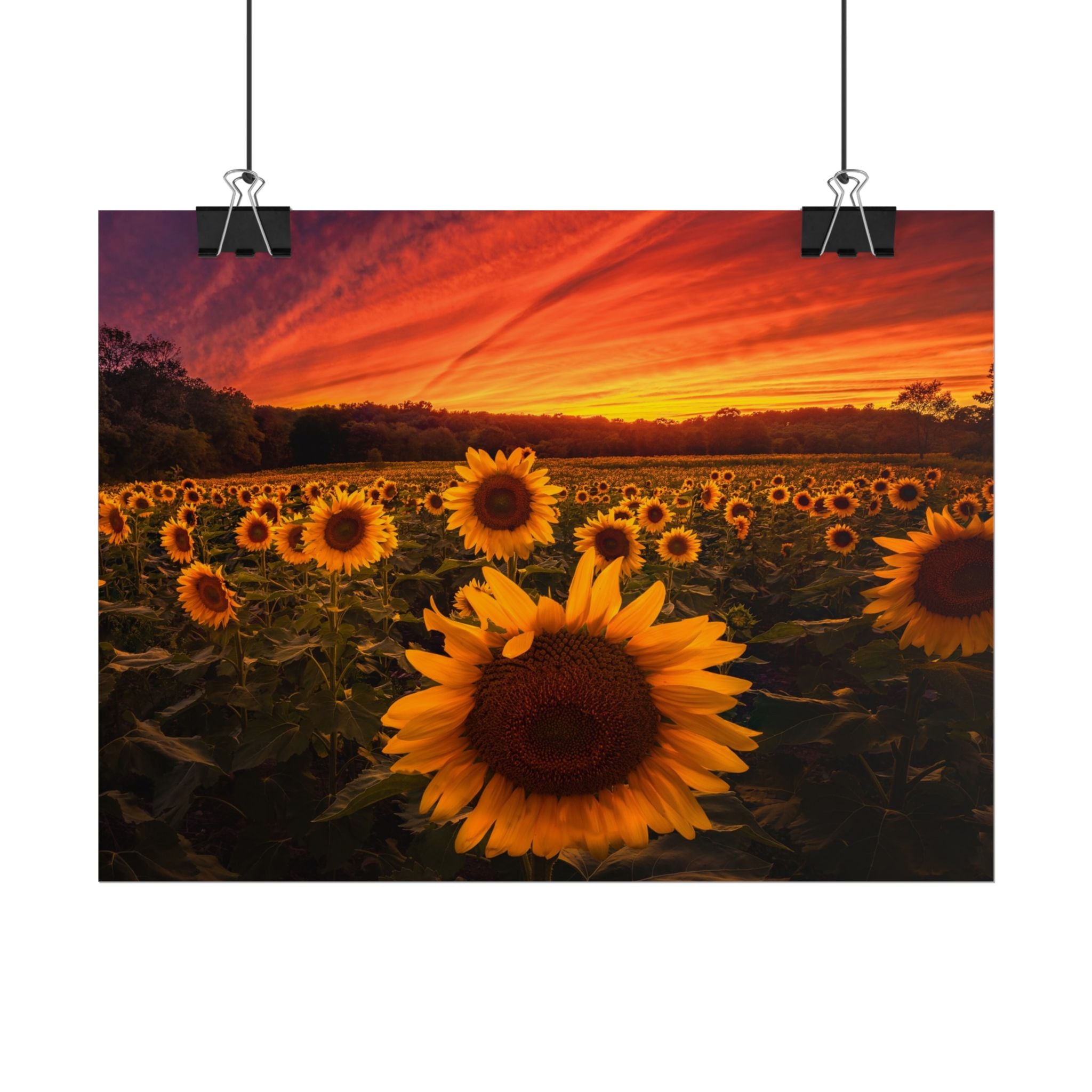 sun-flower-poster-print-sunset-wall-art-decor-home-decor-nature-art-floral-print-gift-for-nature-lovers-farmhouse-wall-decor