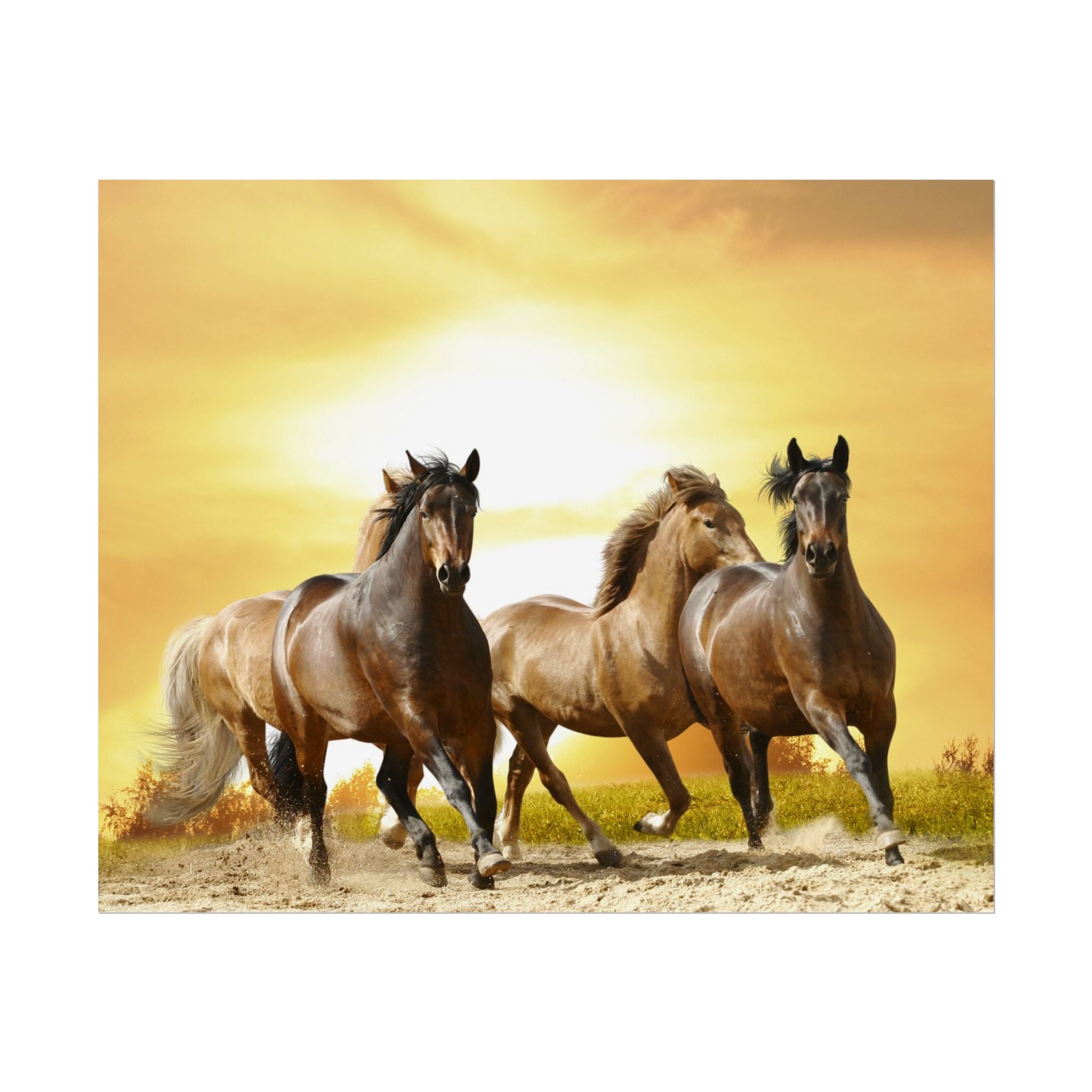 running-horse-poster-wall-art-farmhouse-wall-decor-home-decor-housewarming-gift-horse-print-wall-print-wild-animals