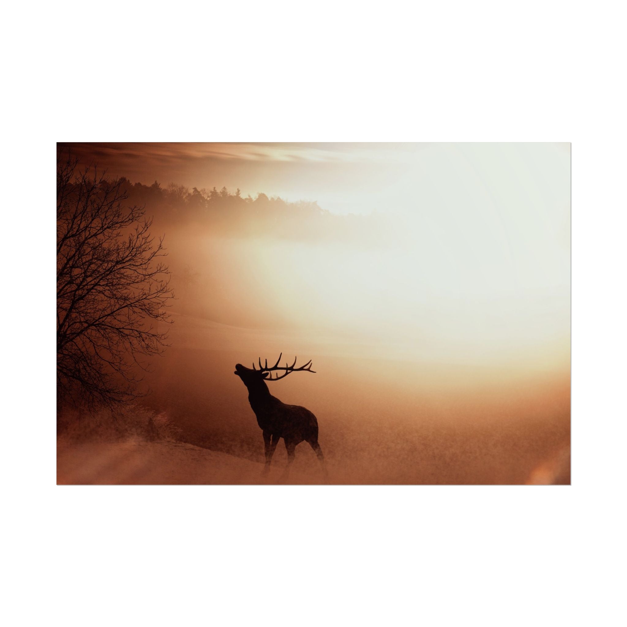 poster-print-elk-in-forest-sunset-scenery-nature-home-decor-animal-wall-art-wildlife-decor-farmhouse-wall-art-elk-prints-post