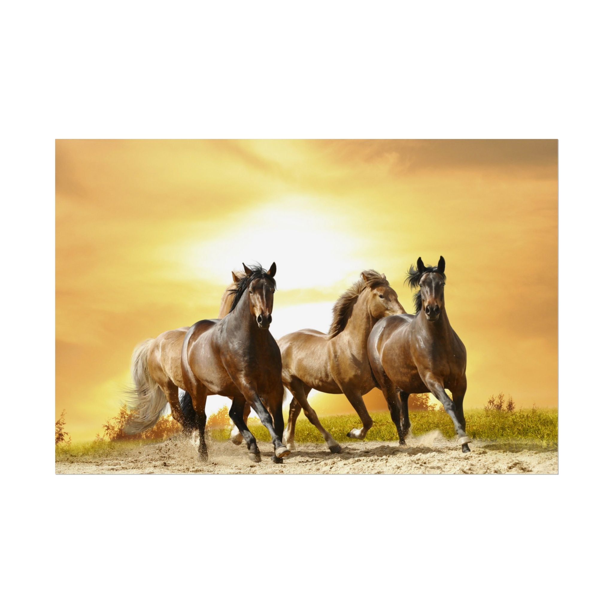 running-horse-poster-wall-art-farmhouse-wall-decor-home-decor-housewarming-gift-horse-print-wall-print-wild-animals