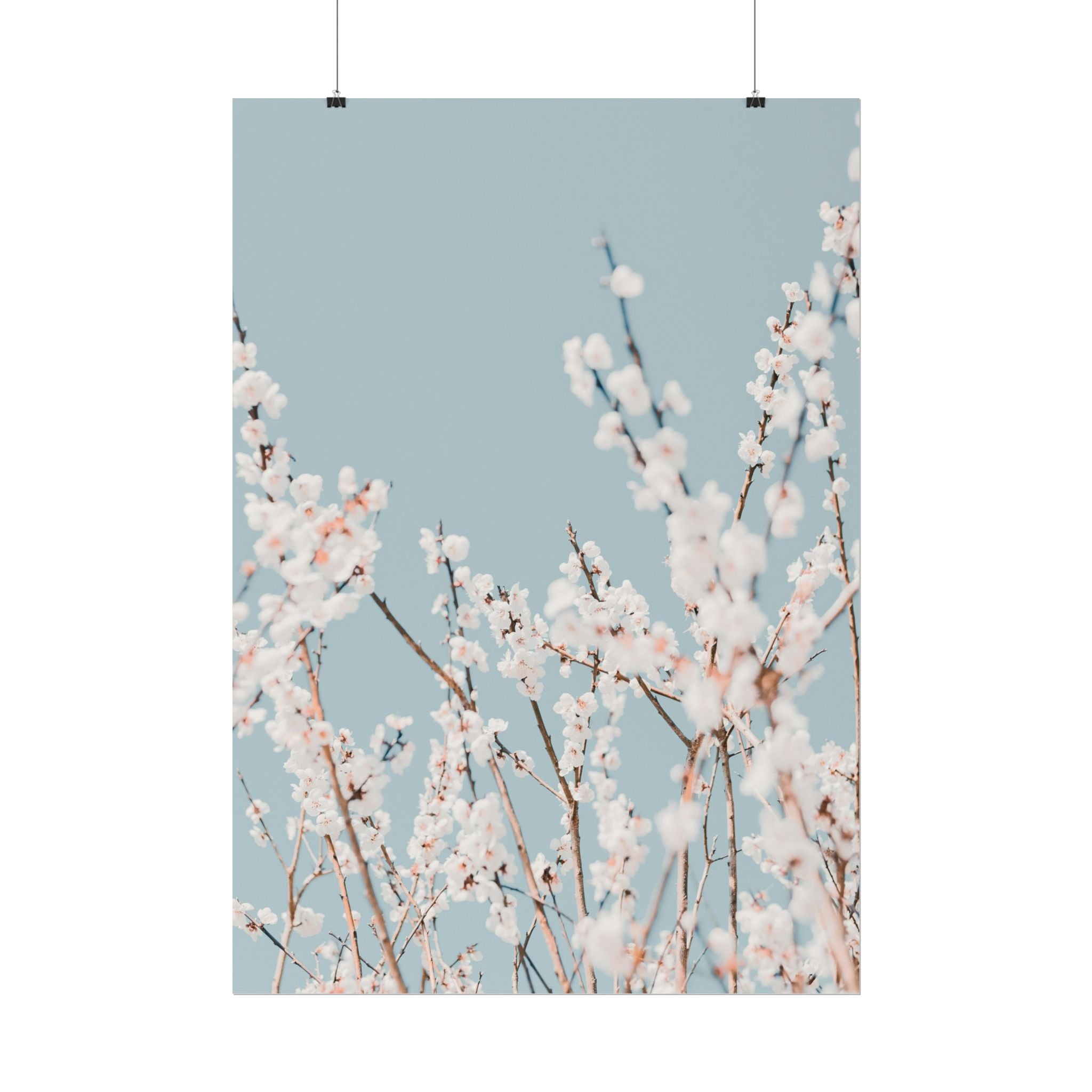 blossom-flowers-poster-print-minimalist-aesthetic-wall-art-fine-art-paper-home-decor-floral-decor-elegant-artwork