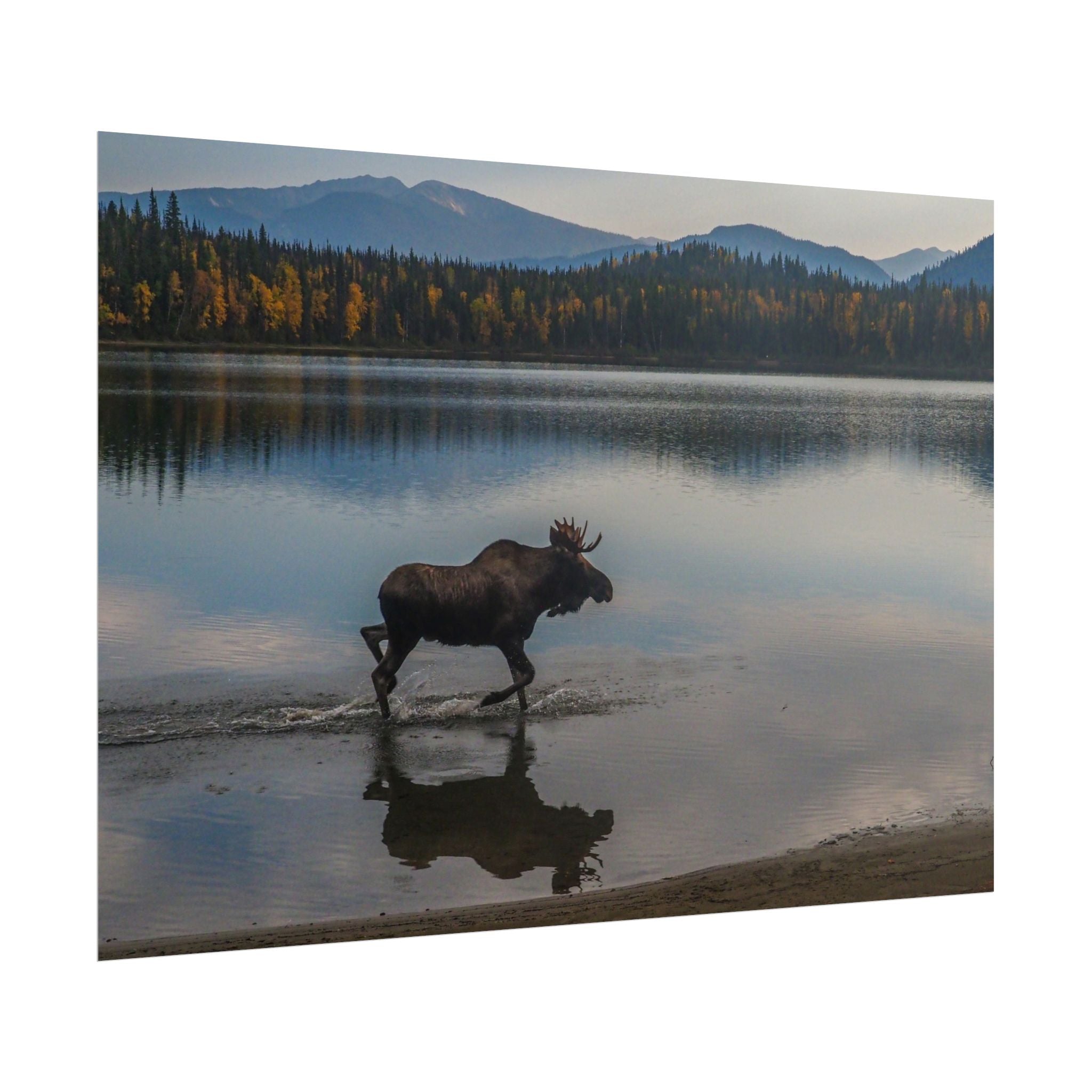 rustic-moose-poster-wall-decor-cabin-lodge-wildlife-painting-nature-home-decor-wilderness-animal-poster-farmhouse-wall-art