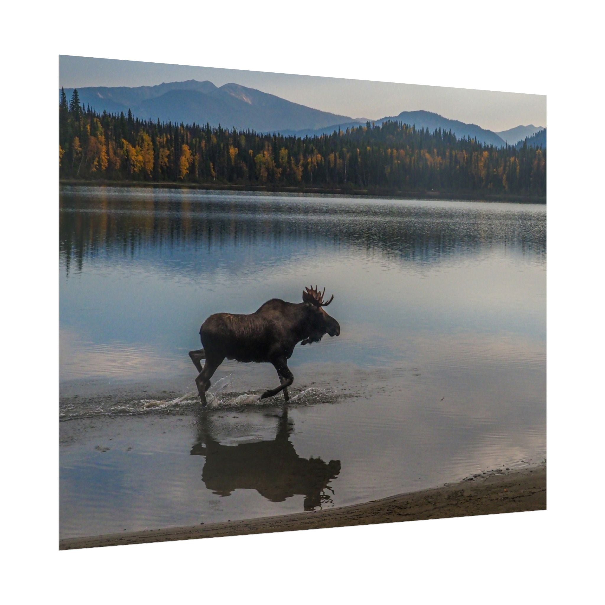 rustic-moose-poster-wall-decor-cabin-lodge-wildlife-painting-nature-home-decor-wilderness-animal-poster-farmhouse-wall-art