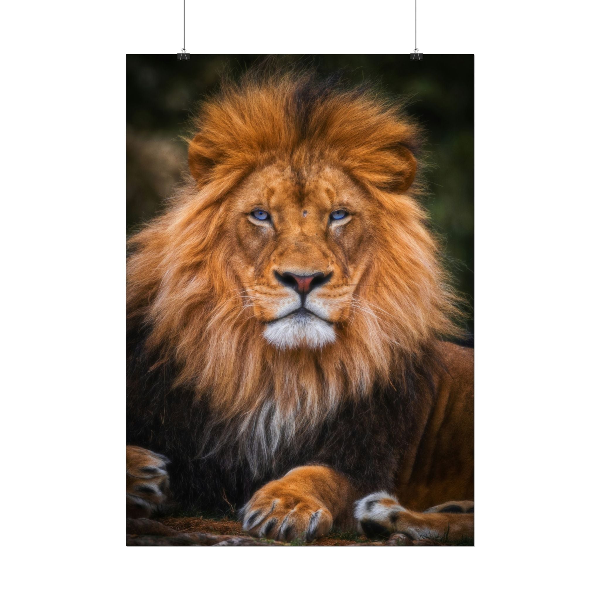 blue-eyed-lion-poster-wall-art-wildlife-home-decor-animal-lover-gift-safari-decoration-wildlife-art-print-lion-wall-decor