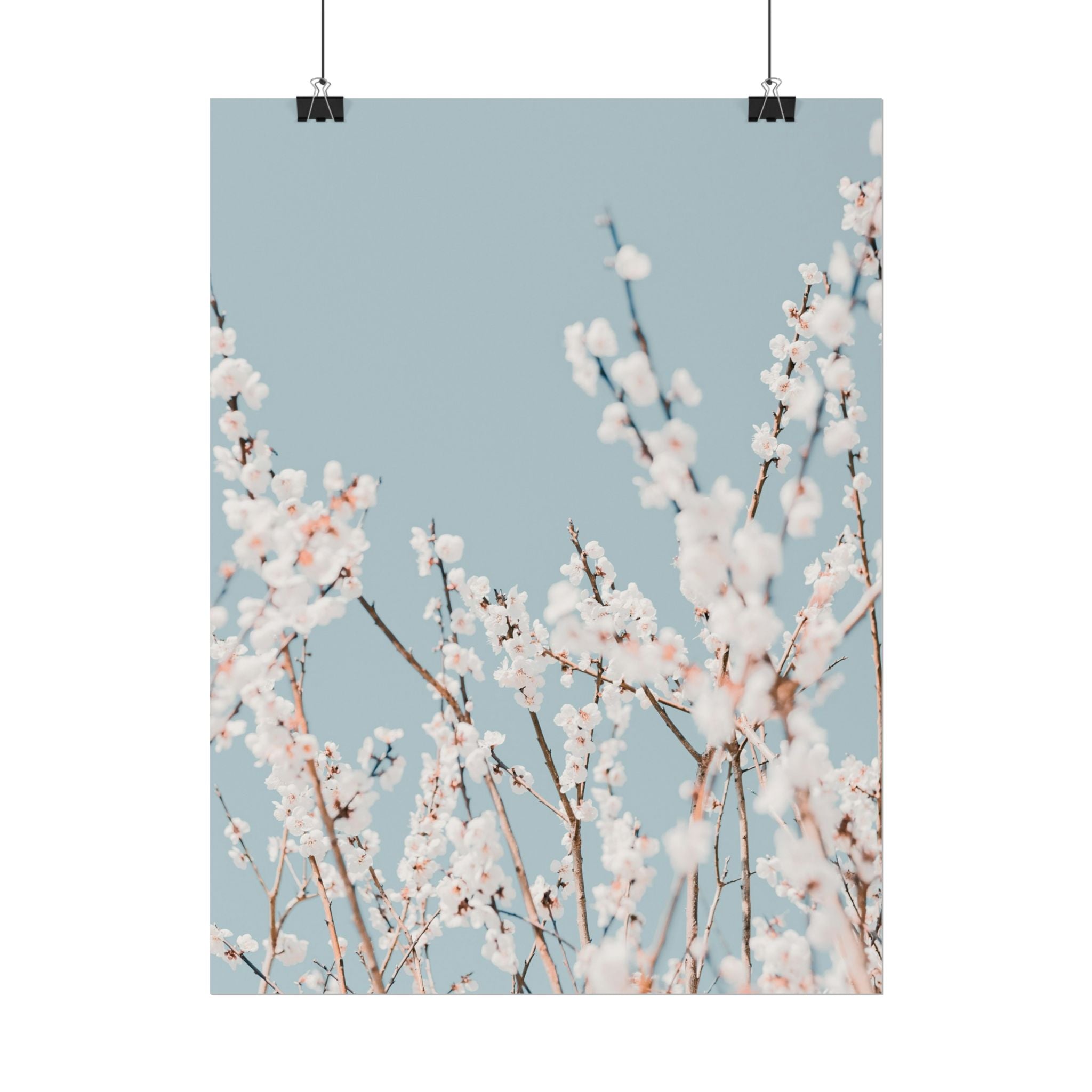 blossom-flowers-poster-print-minimalist-aesthetic-wall-art-fine-art-paper-home-decor-floral-decor-elegant-artwork