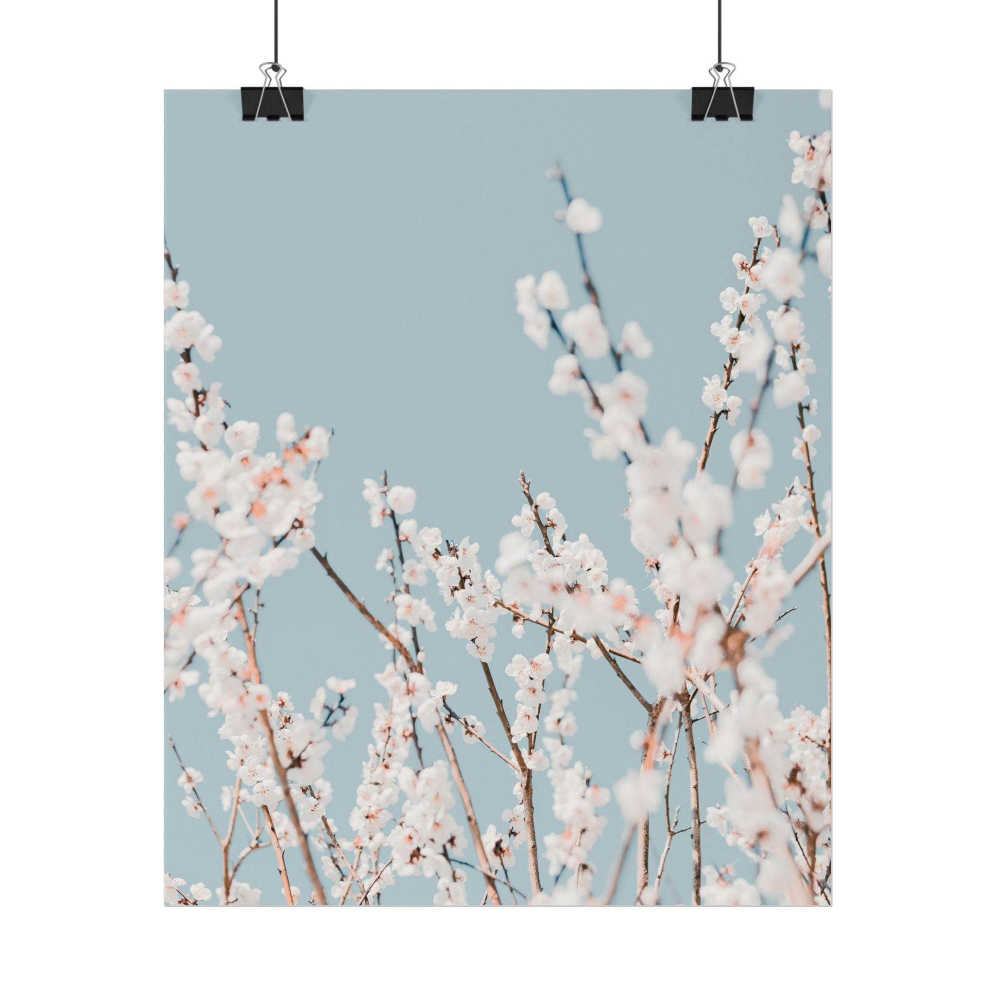 blossom-flowers-poster-print-minimalist-aesthetic-wall-art-fine-art-paper-home-decor-floral-decor-elegant-artwork