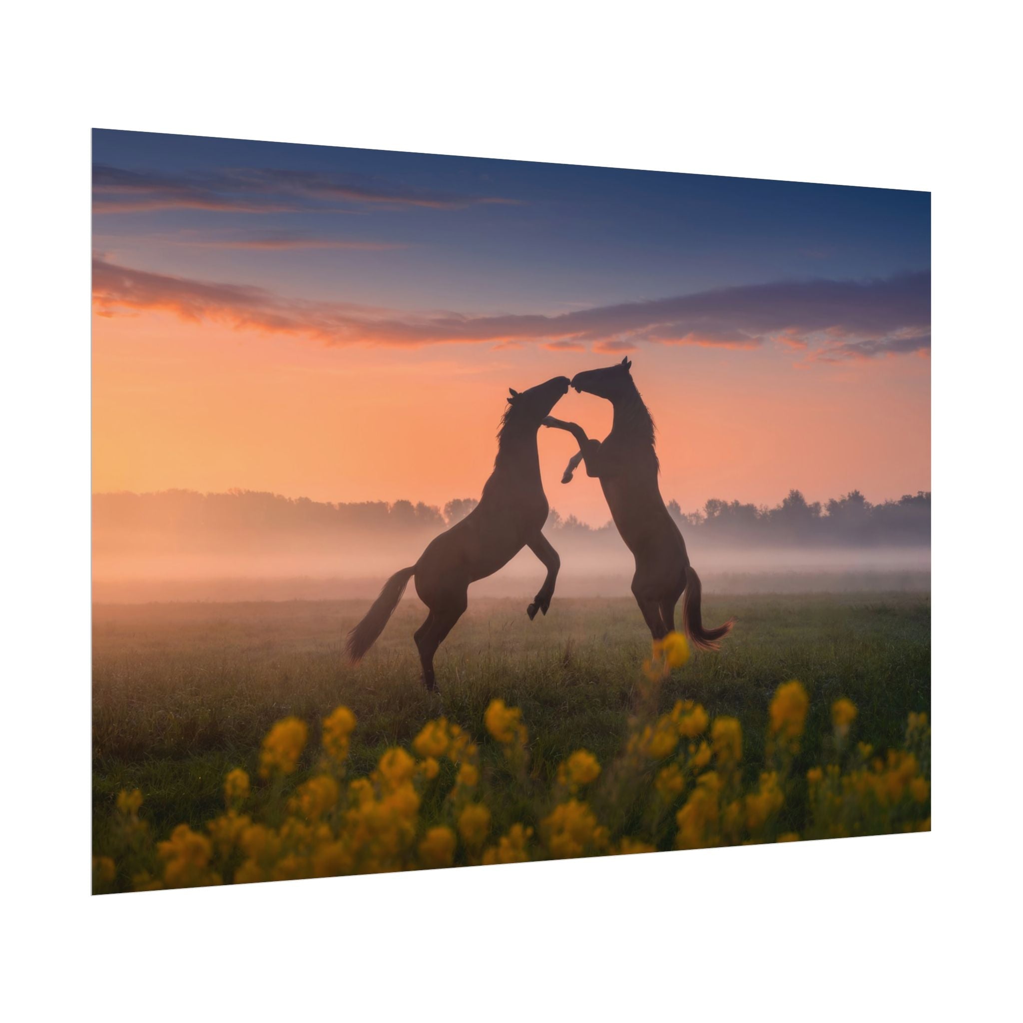 wild-rising-horses-poster-print-field-of-flowers-decor-home-decor-farmhouse-wall-decor-nature-wall-art-horse-Poster-print-mus