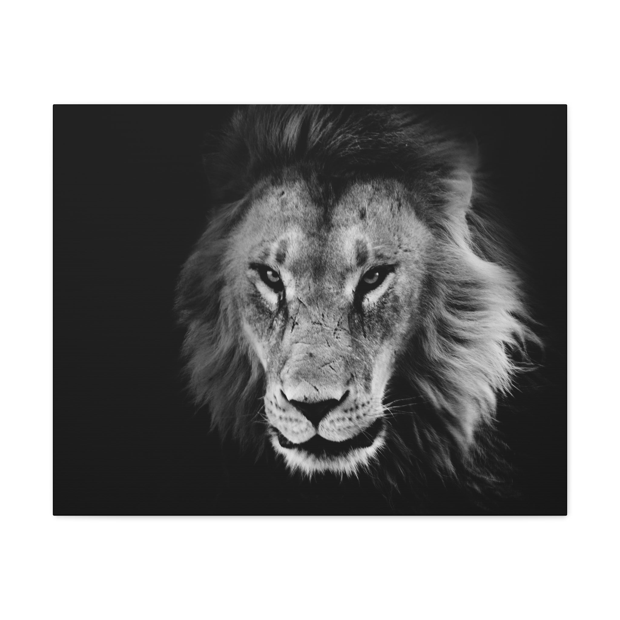 canvas-print-lion-wall-art-black-and-white-living-room-decor-matte-stretched-lion-poster-jungle-animal-art-print-wildlife-saf