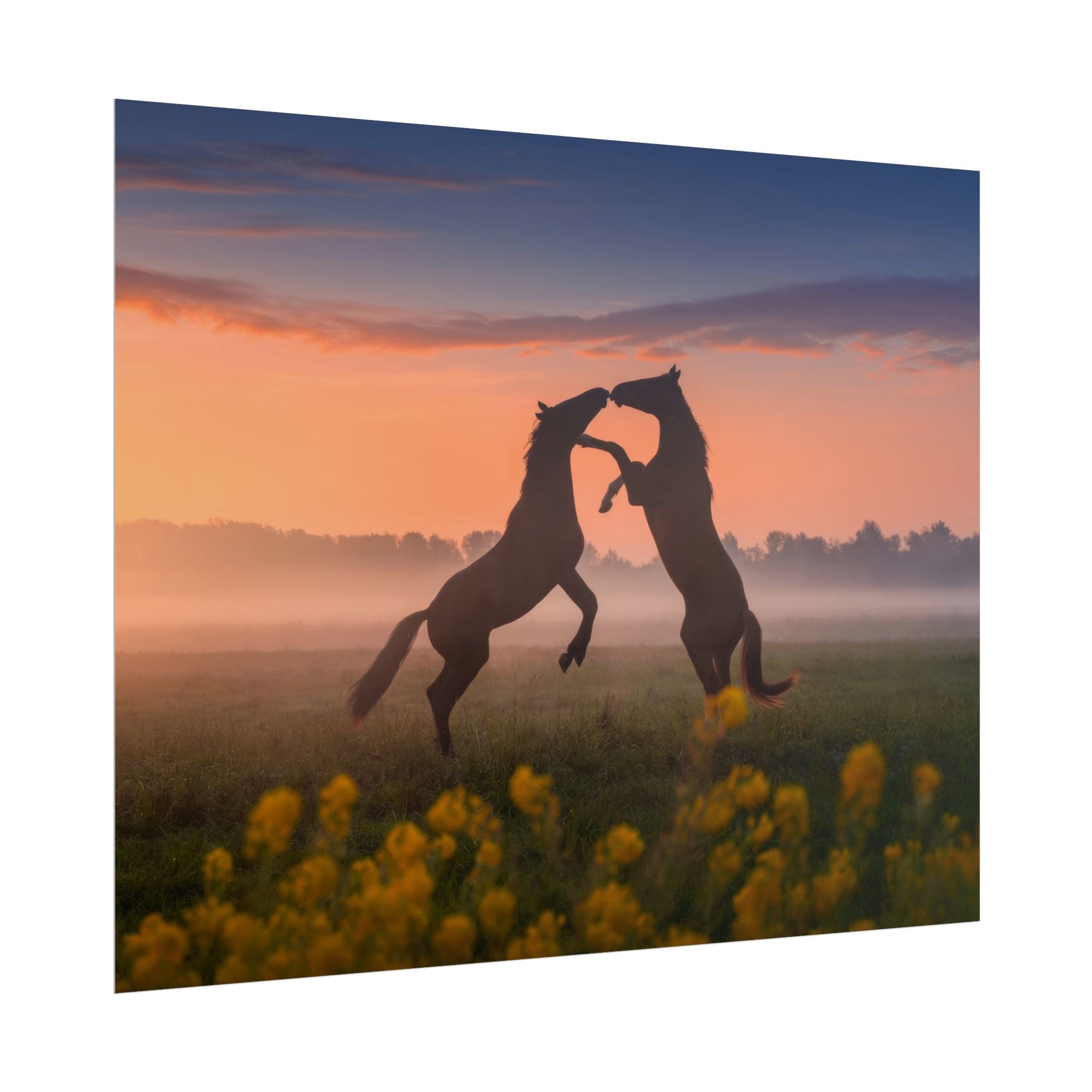 Wild Rising Horses Poster Print, Field of Flowers Decor, Home Decor, Farmhouse Wall Decor, Nature Wall Art, Horse Canvas Print, Mustang