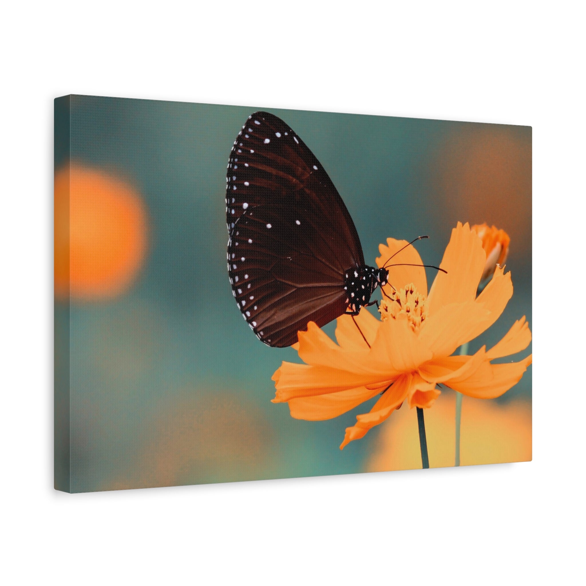 canvas-print-aesthetic-butterfly-monarch-butterfly-living-room-decor-housewarming-gift-wall-art-nature-wall-art-butterfly-dec