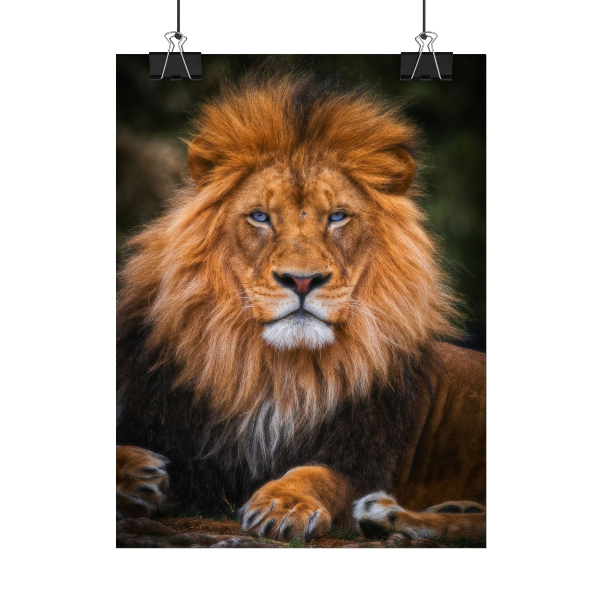 blue-eyed-lion-poster-wall-art-wildlife-home-decor-animal-lover-gift-safari-decoration-wildlife-art-print-lion-wall-decor