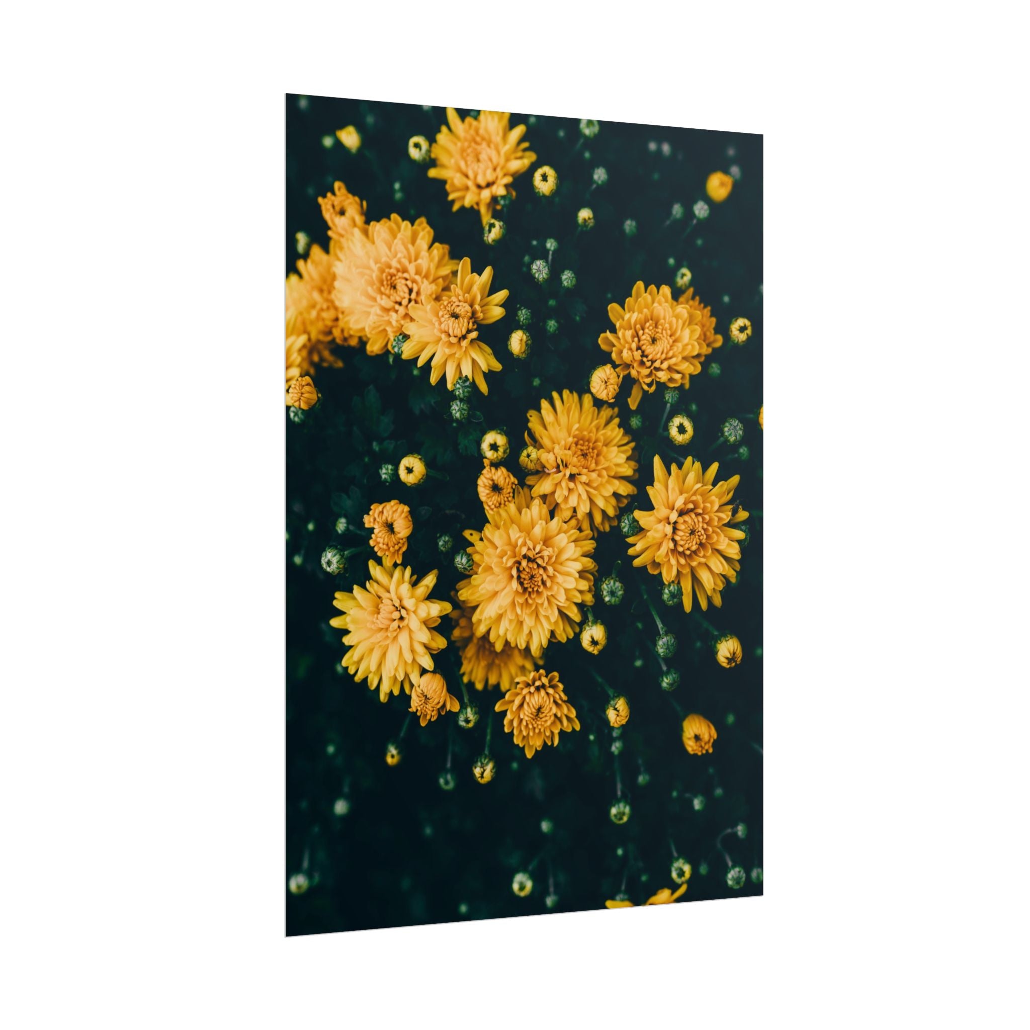 yellow-flower-art-poster-print-floral-wall-decor-floral-home-decor-gift-dark-botanical-art-print