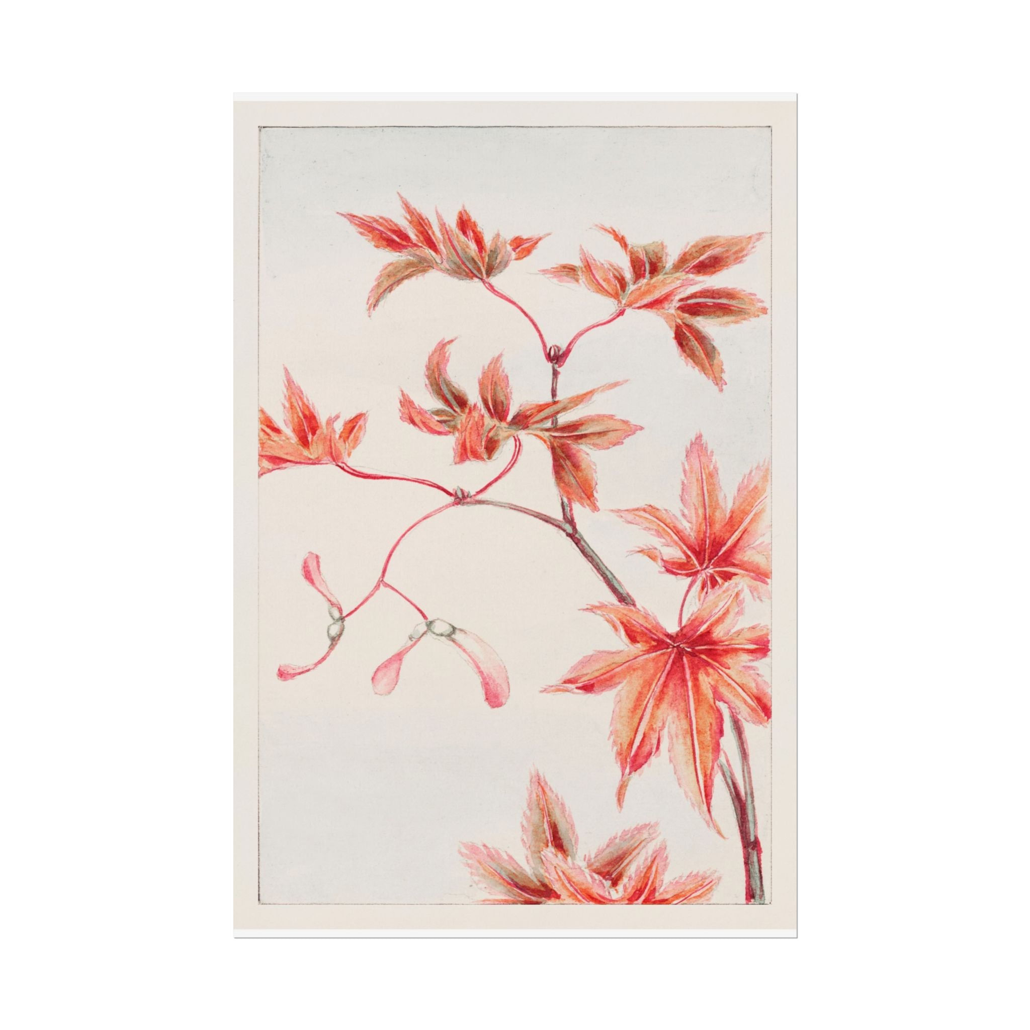poster-print-branch-of-momiji-maple-tree-with-leaves-floral-wall-art-rolled-posters-wall-decor-room-decoration-nature-art-bot