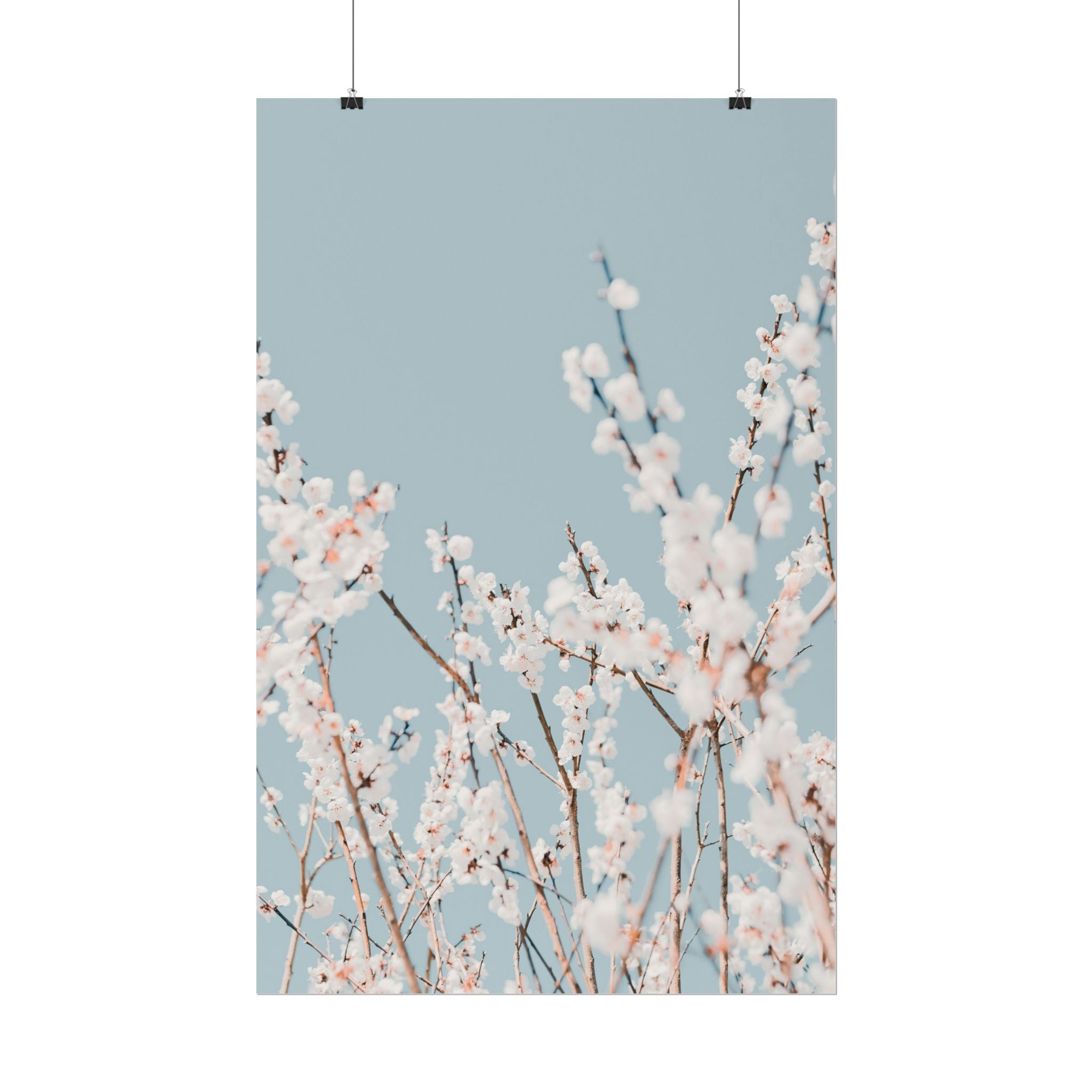 blossom-flowers-poster-print-minimalist-aesthetic-wall-art-fine-art-paper-home-decor-floral-decor-elegant-artwork