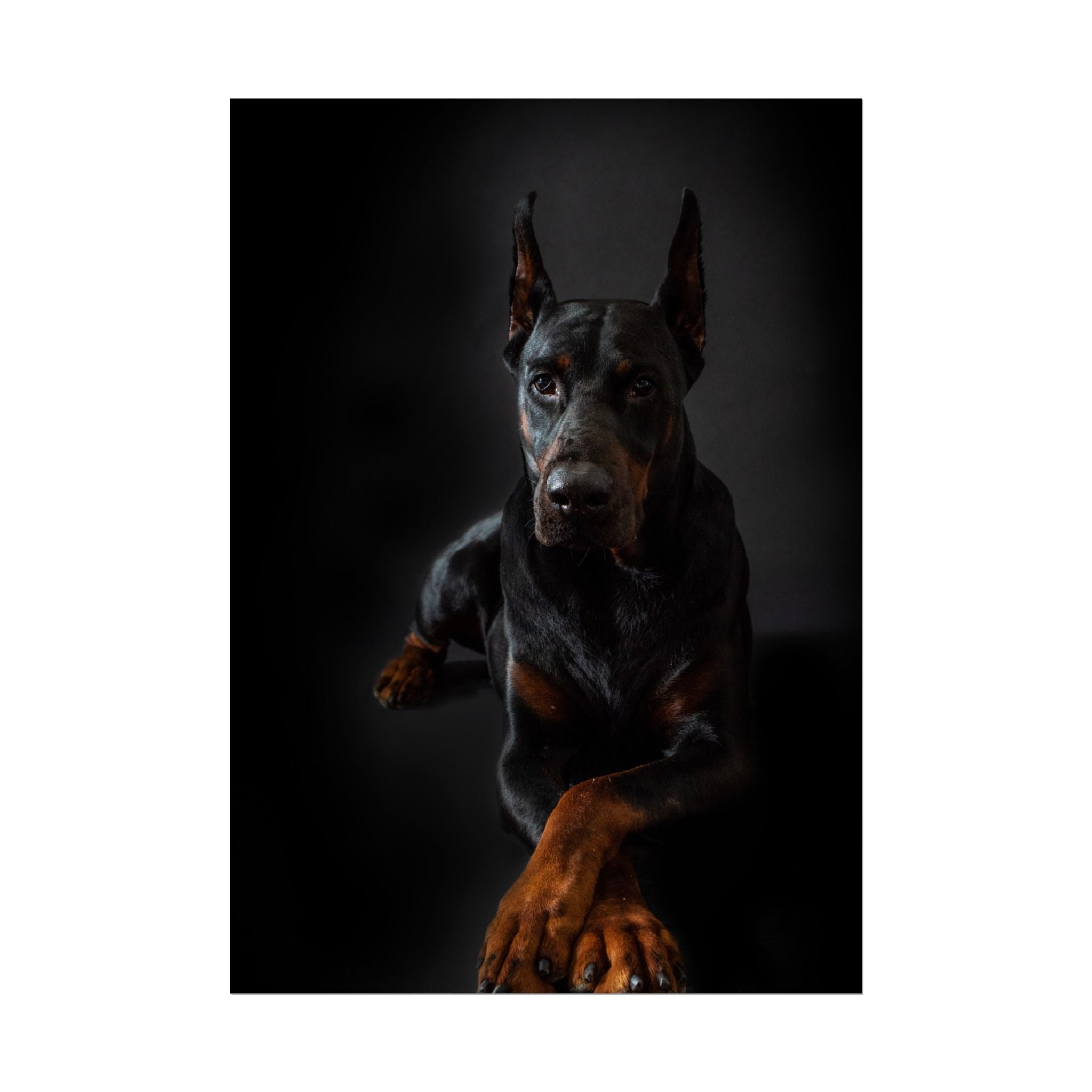 doberman-pincher-poster-print-rolled-posters-wall-art-home-decor-dog-lover-gift-animal-art-room-decoration
