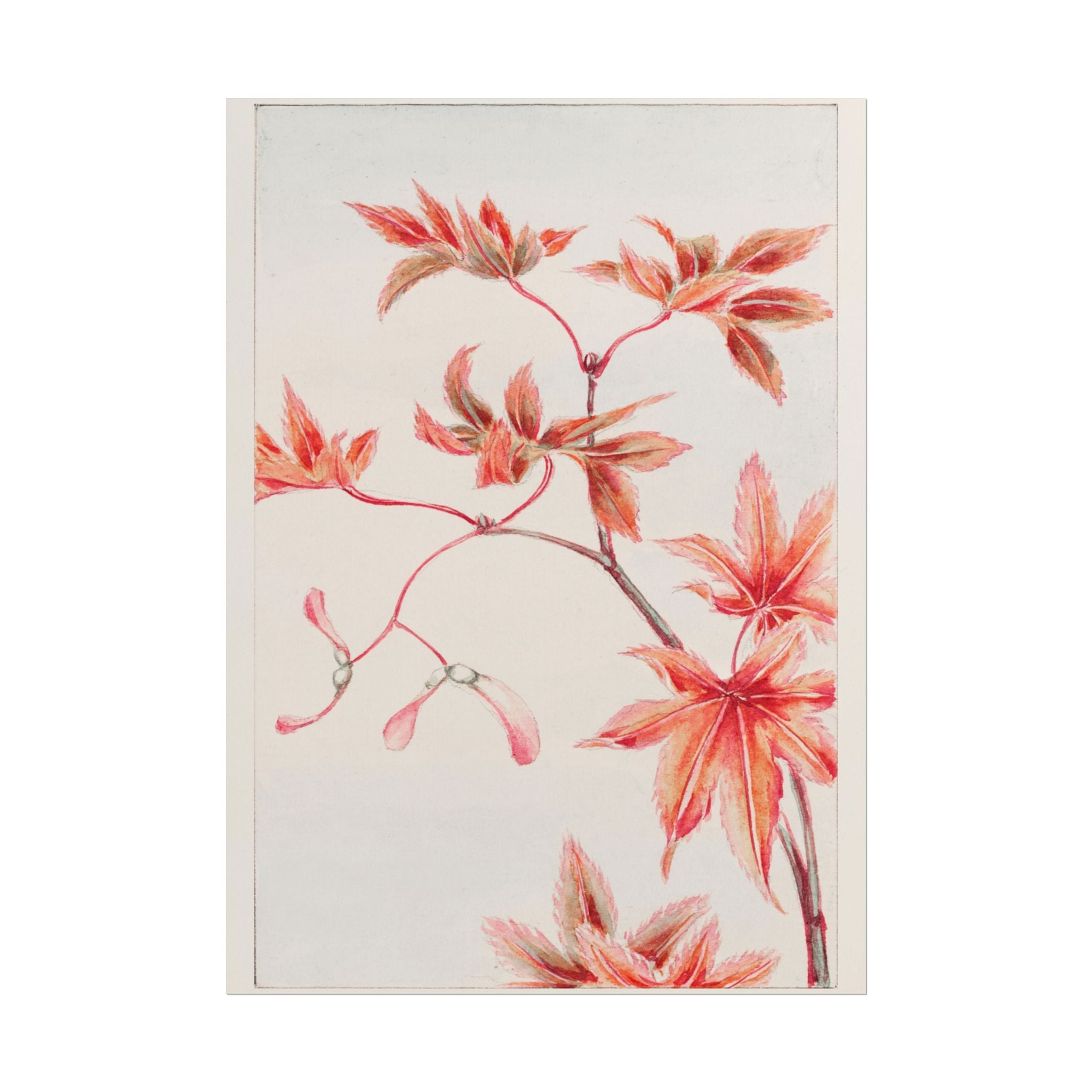 poster-print-branch-of-momiji-maple-tree-with-leaves-floral-wall-art-rolled-posters-wall-decor-room-decoration-nature-art-bot