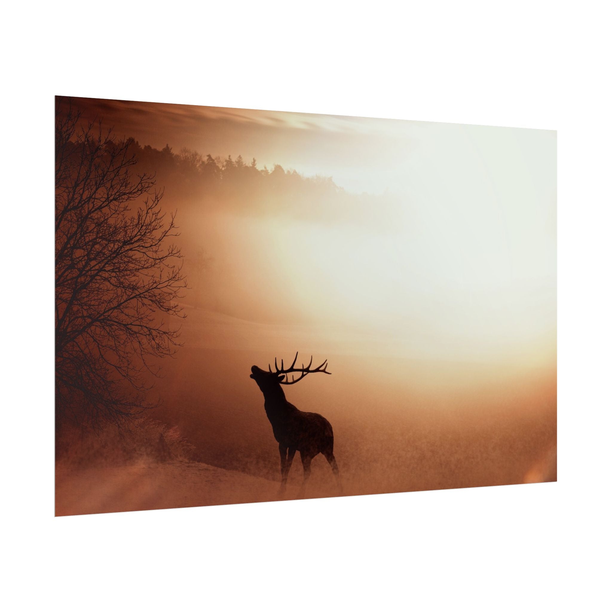 poster-print-elk-in-forest-sunset-scenery-nature-home-decor-animal-wall-art-wildlife-decor-farmhouse-wall-art-elk-prints-post