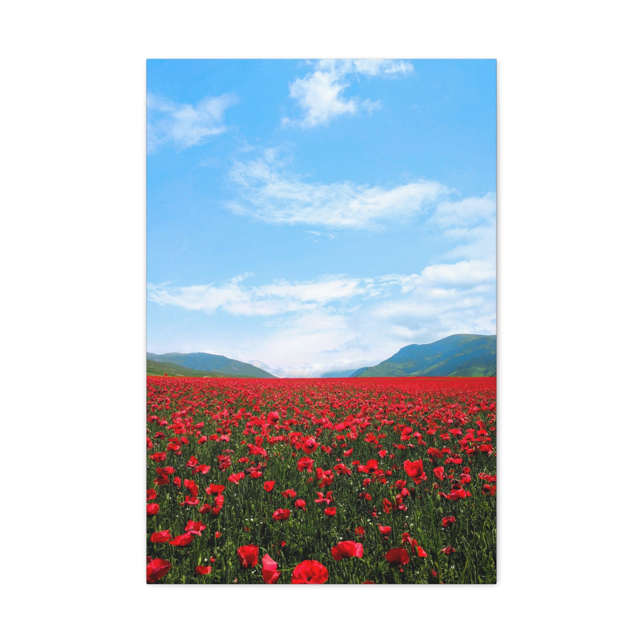 canvas-wall-art-red-poppy-flower-print-spring-floral-decor-matte-stretched-1-25-inch-home-office-decoration