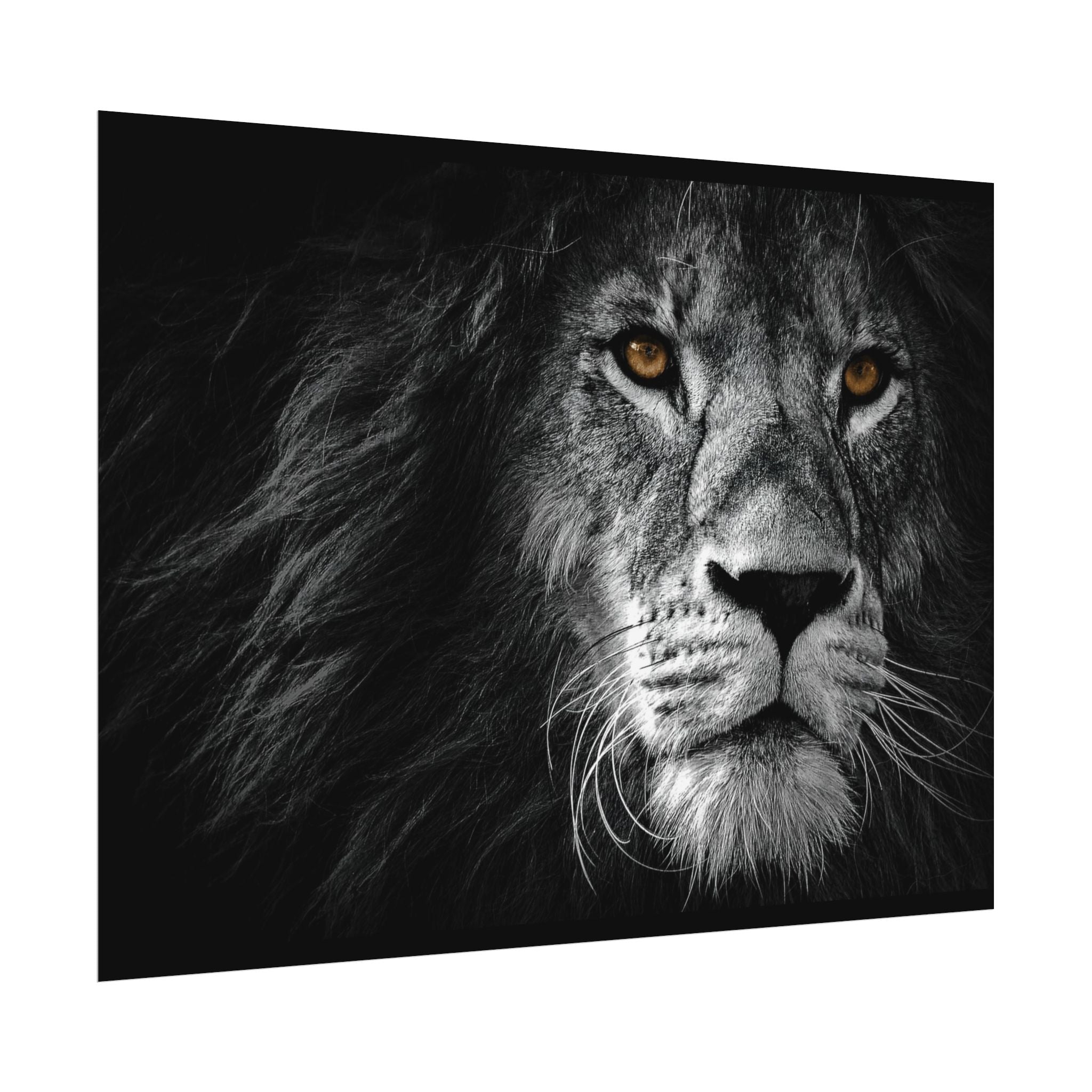 poster-print-lion-wall-art-black-and-white-monochrome-decor-living-room-decor-lion-poster-jungle-animal-art-print-wildlife-sa