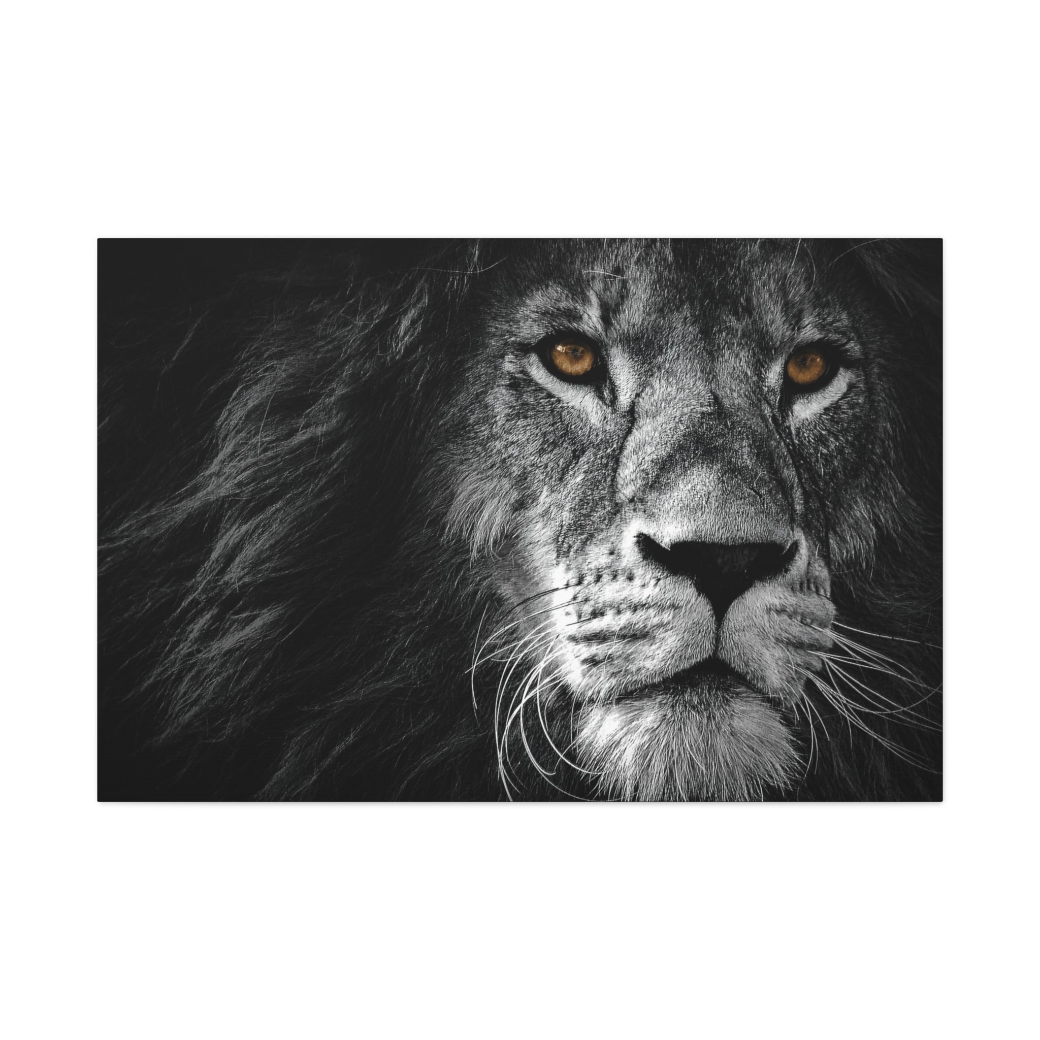 canvas-print-lion-wall-art-black-and-white-living-room-decor-matte-stretched-lion-poster-jungle-animal-art-print-wildlife-saf