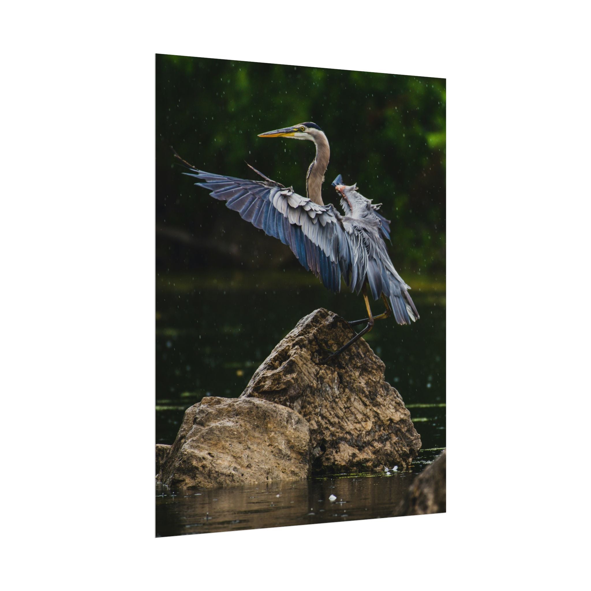great-blue-heron-poster-wall-art-home-decor-bird-lover-gift-nature-wall-hanging-wildlife-poster