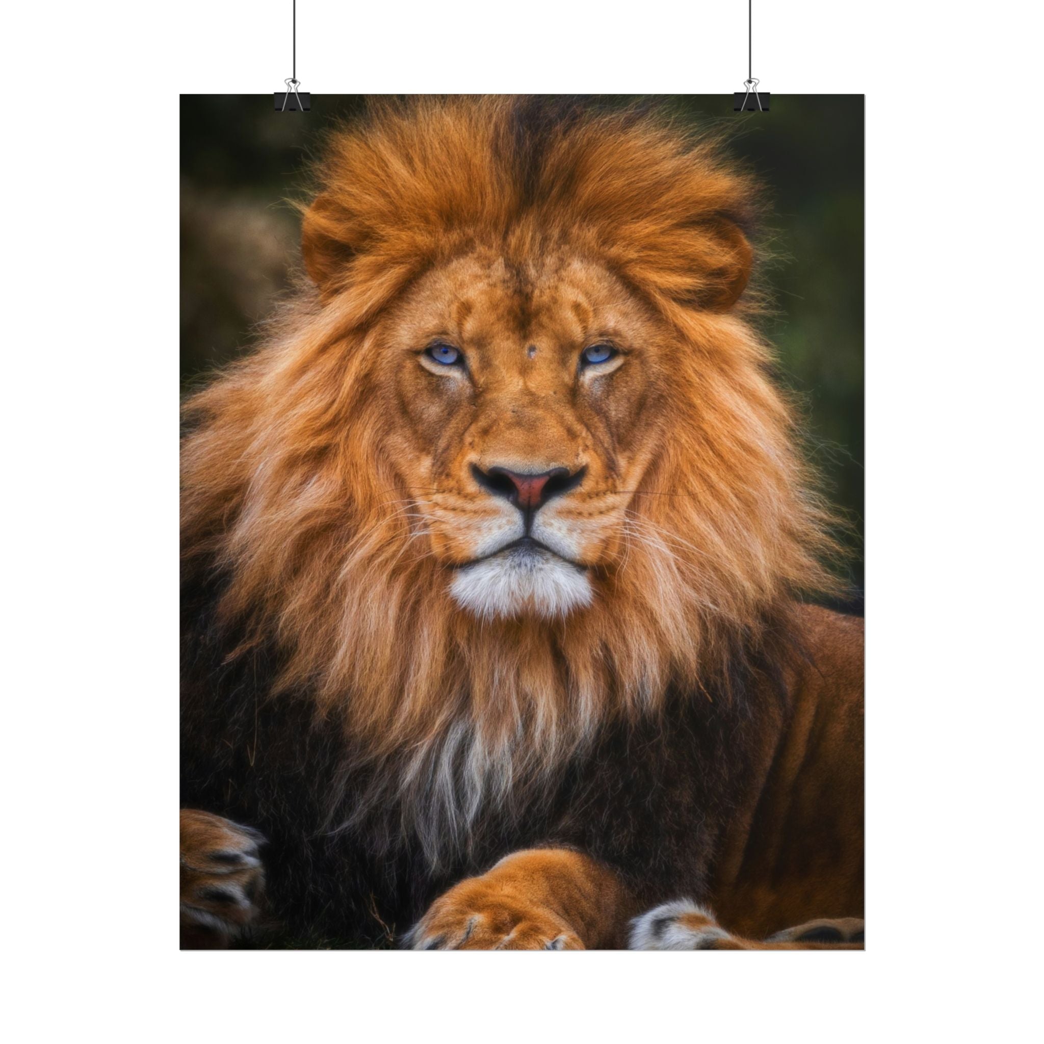 blue-eyed-lion-poster-wall-art-wildlife-home-decor-animal-lover-gift-safari-decoration-wildlife-art-print-lion-wall-decor