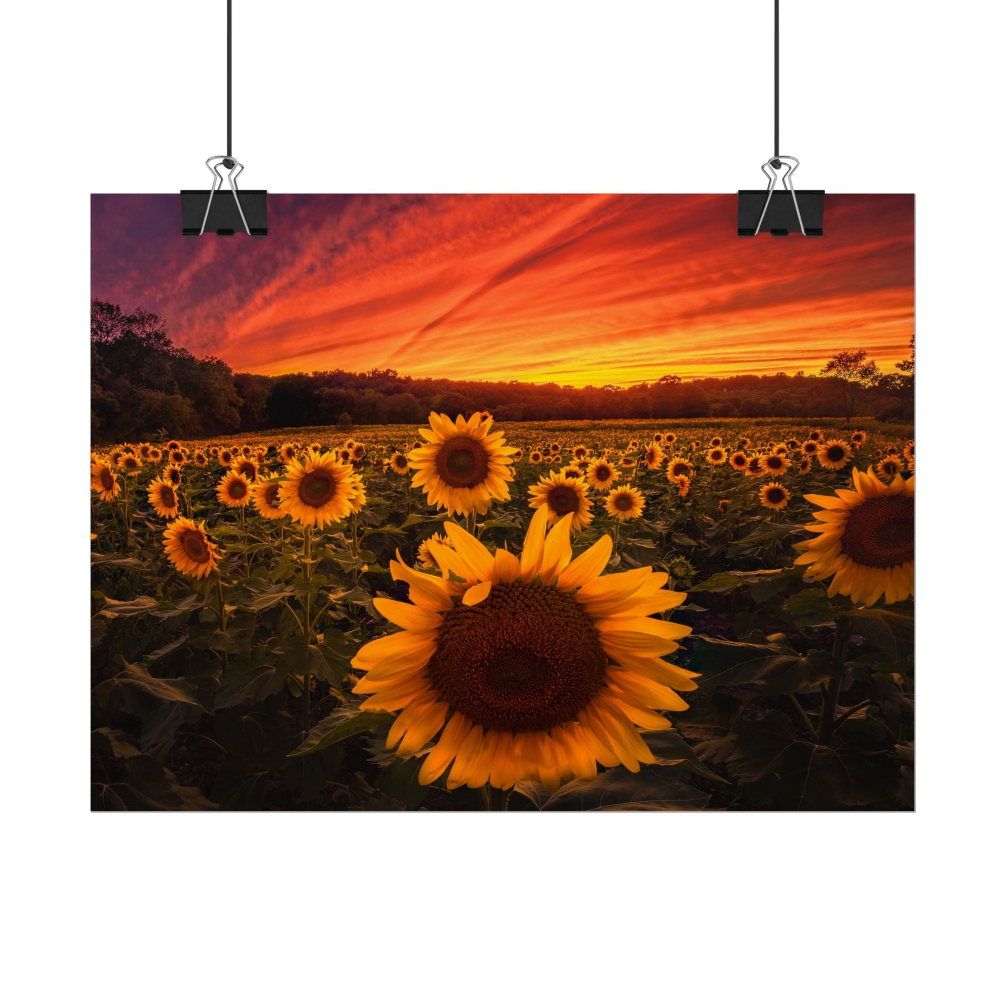 sun-flower-poster-print-sunset-wall-art-decor-home-decor-nature-art-floral-print-gift-for-nature-lovers-farmhouse-wall-decor