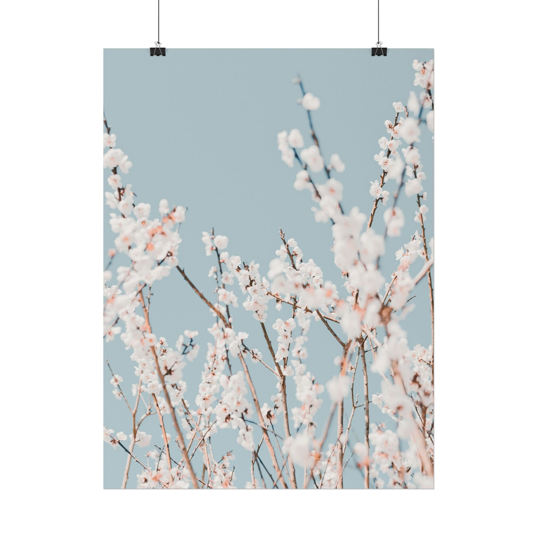 blossom-flowers-poster-print-minimalist-aesthetic-wall-art-fine-art-paper-home-decor-floral-decor-elegant-artwork