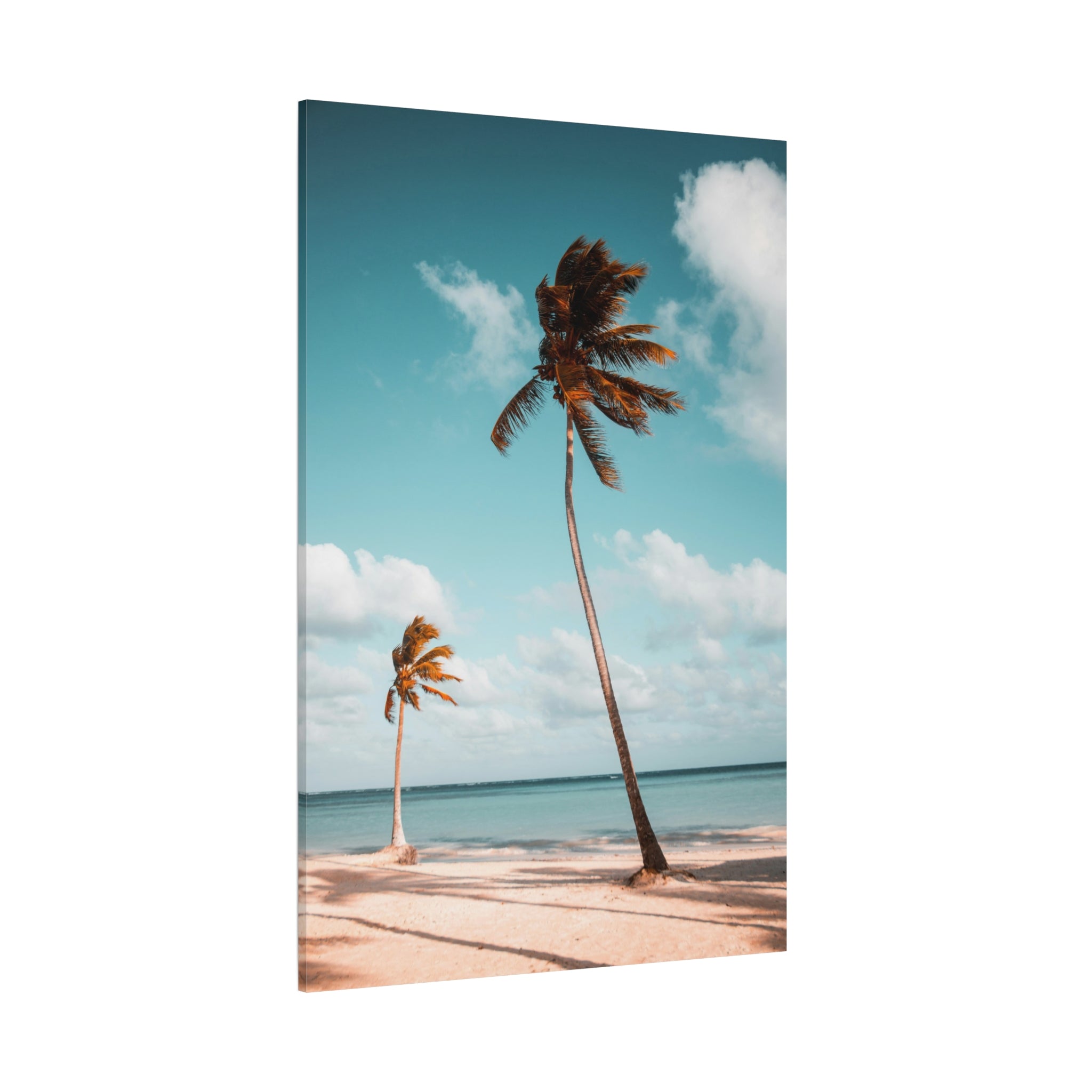 palm-tree-canvas-print-palm-tree-decor-wall-art-print-home-decor-palm-tree-fine-art-palm-tree-art-gallery-stretched-canvas-pr