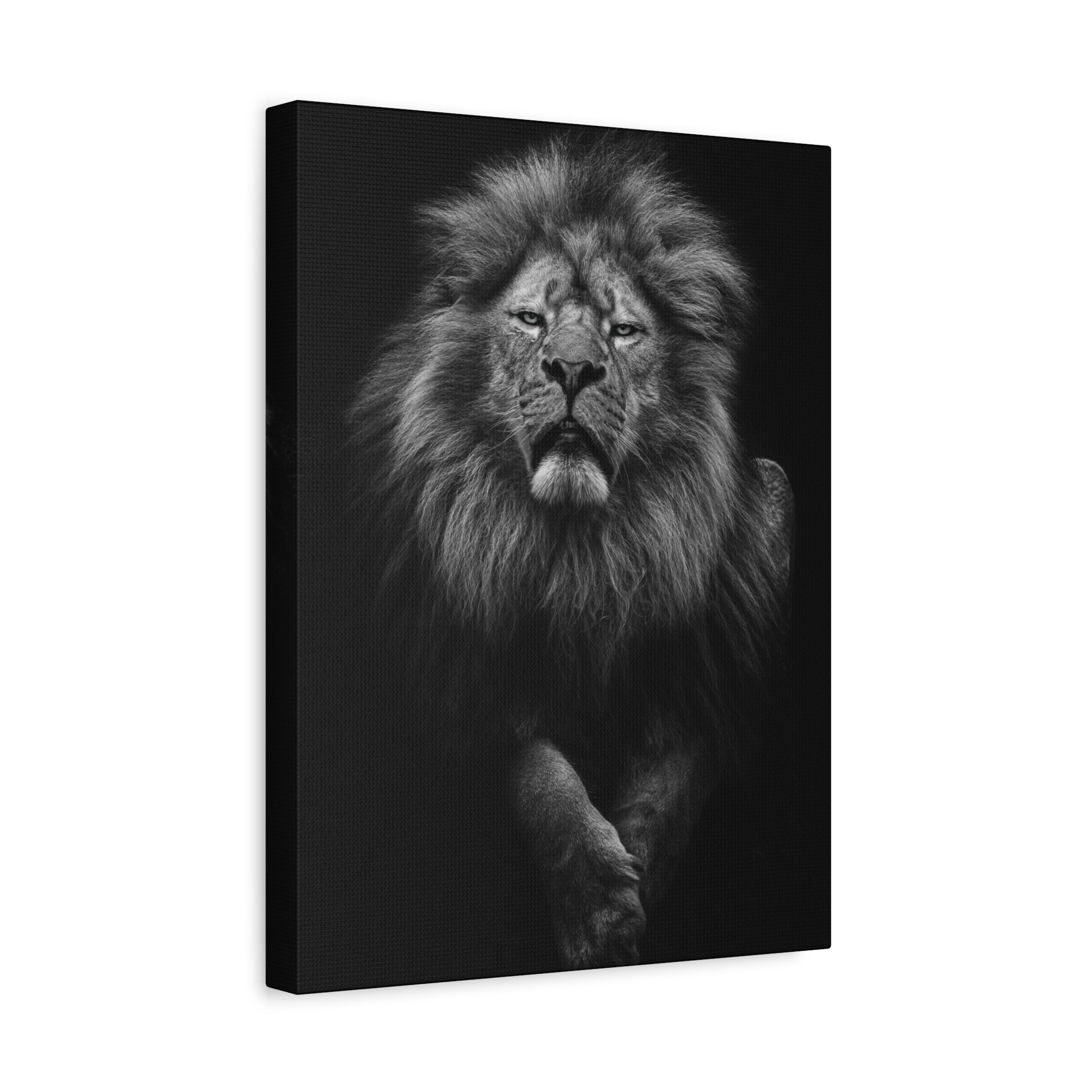 canvas-print-lion-wall-art-black-and-white-living-room-decor-matte-stretched-lion-poster-jungle-animal-art-print-wildlife-saf
