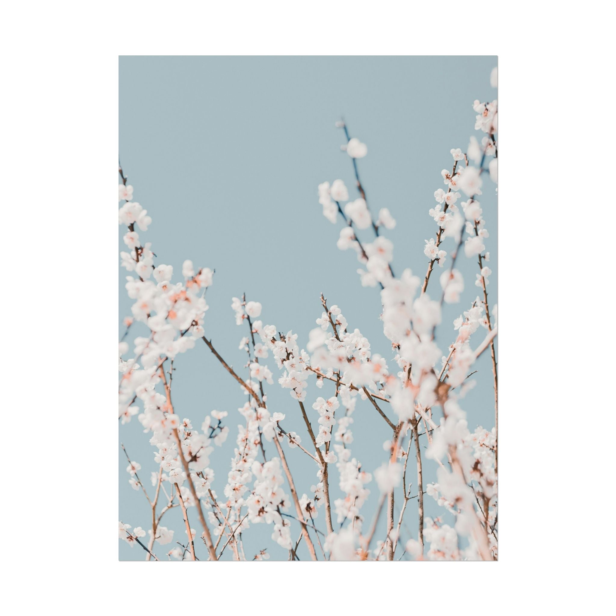 blossom-flowers-poster-print-minimalist-aesthetic-wall-art-fine-art-paper-home-decor-floral-decor-elegant-artwork